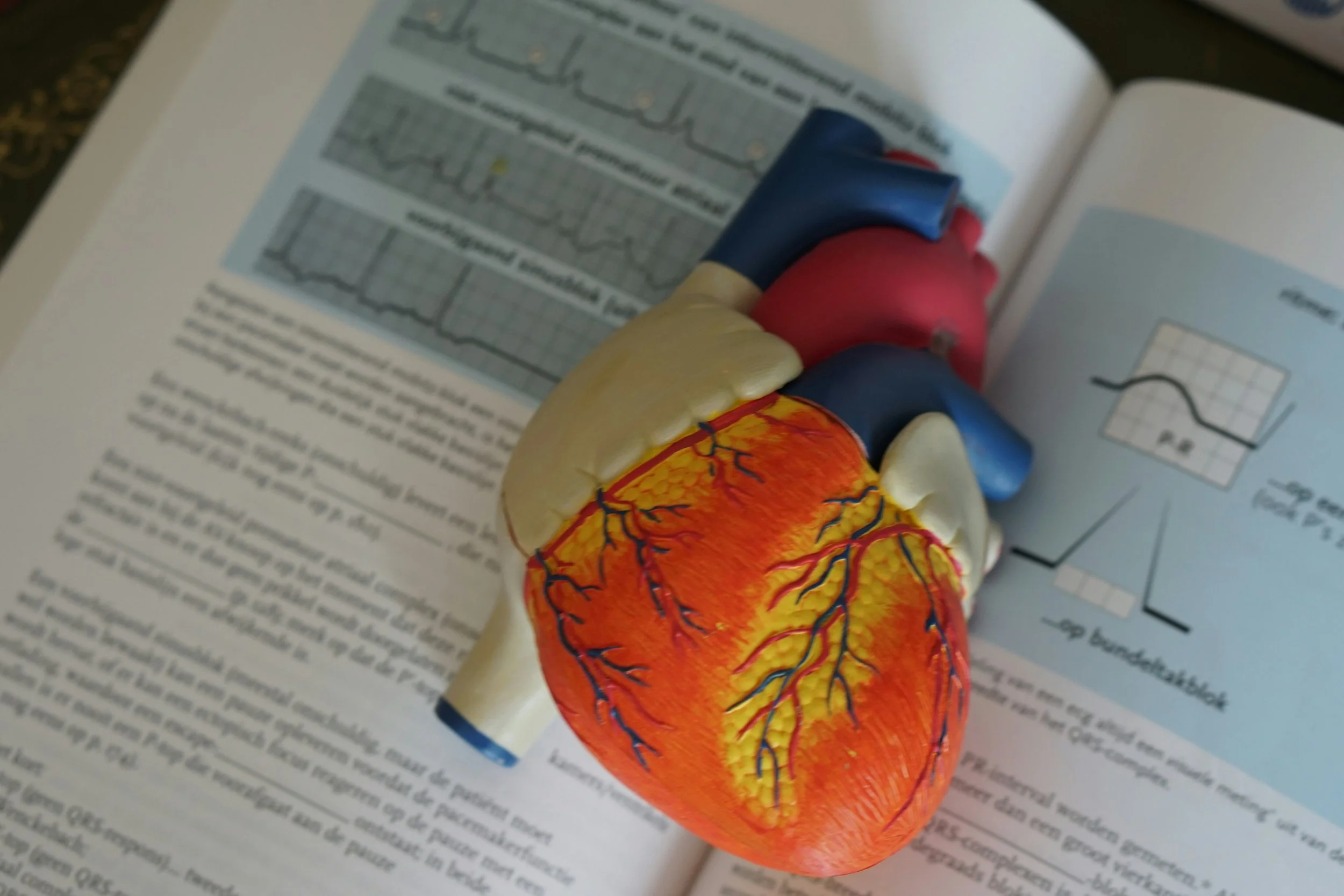 Supporting Heart Health