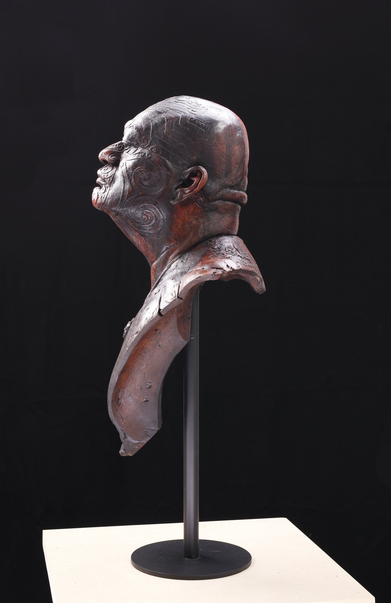 Shane Te Ruki. Portrait of a Maori_2