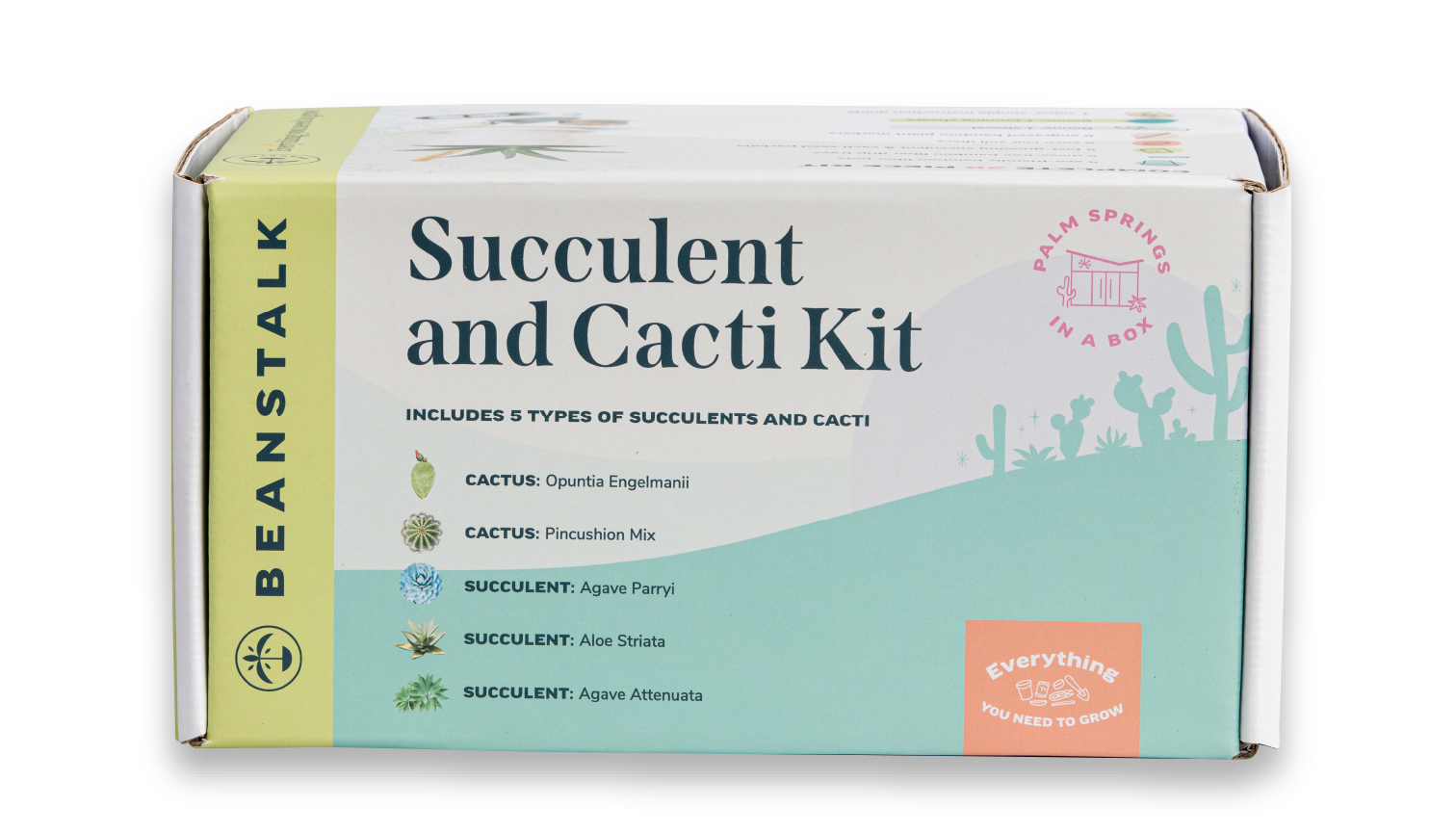succulent 2.png