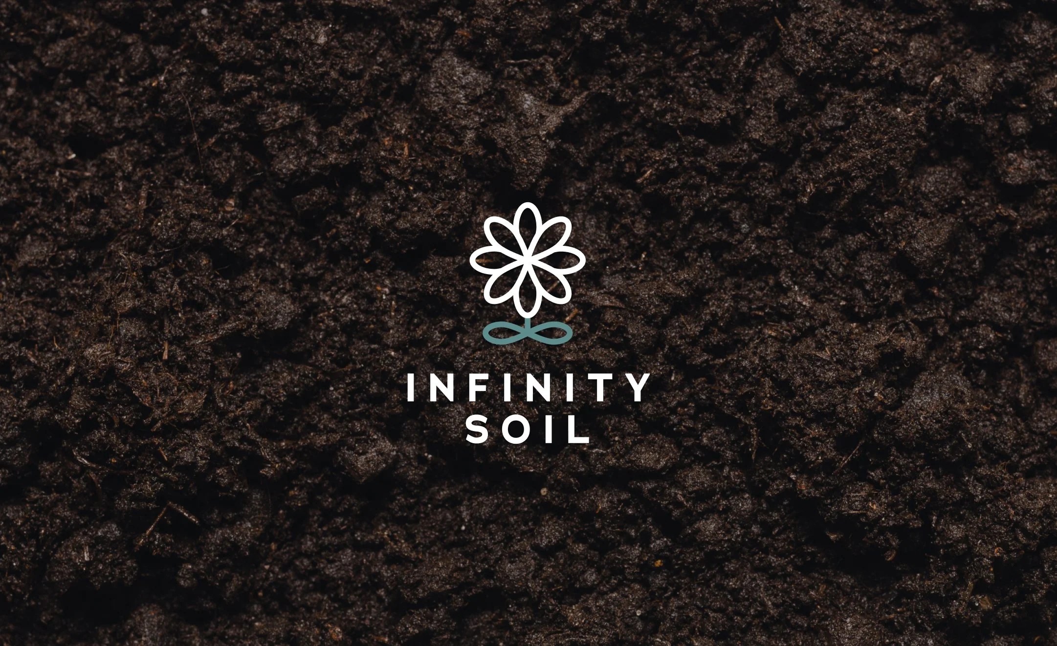 Named, Designed, Launched from Scratch