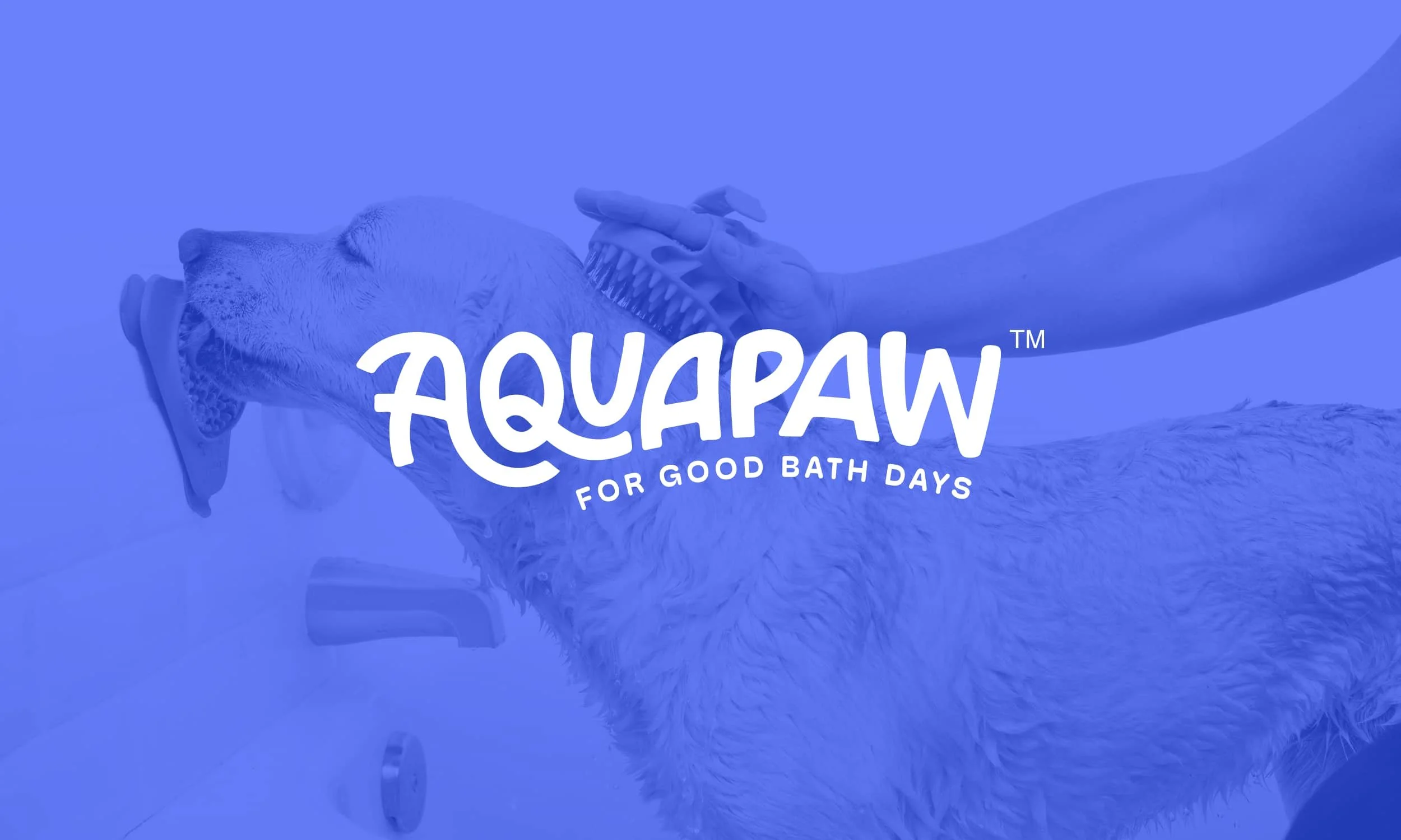 From Brand Doc to Working System