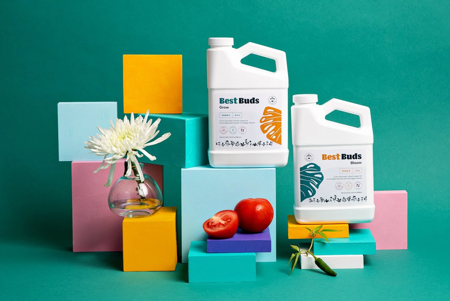 Growing Up: Rebranding a Plant Kit for a New Audience