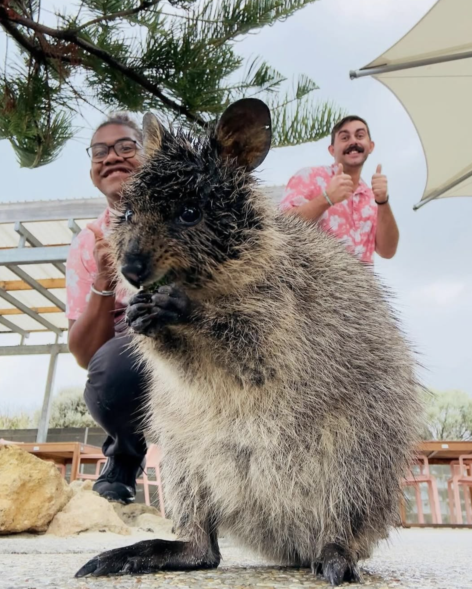 Screenshot 2026-03-04 at 2.26.21 pm.png