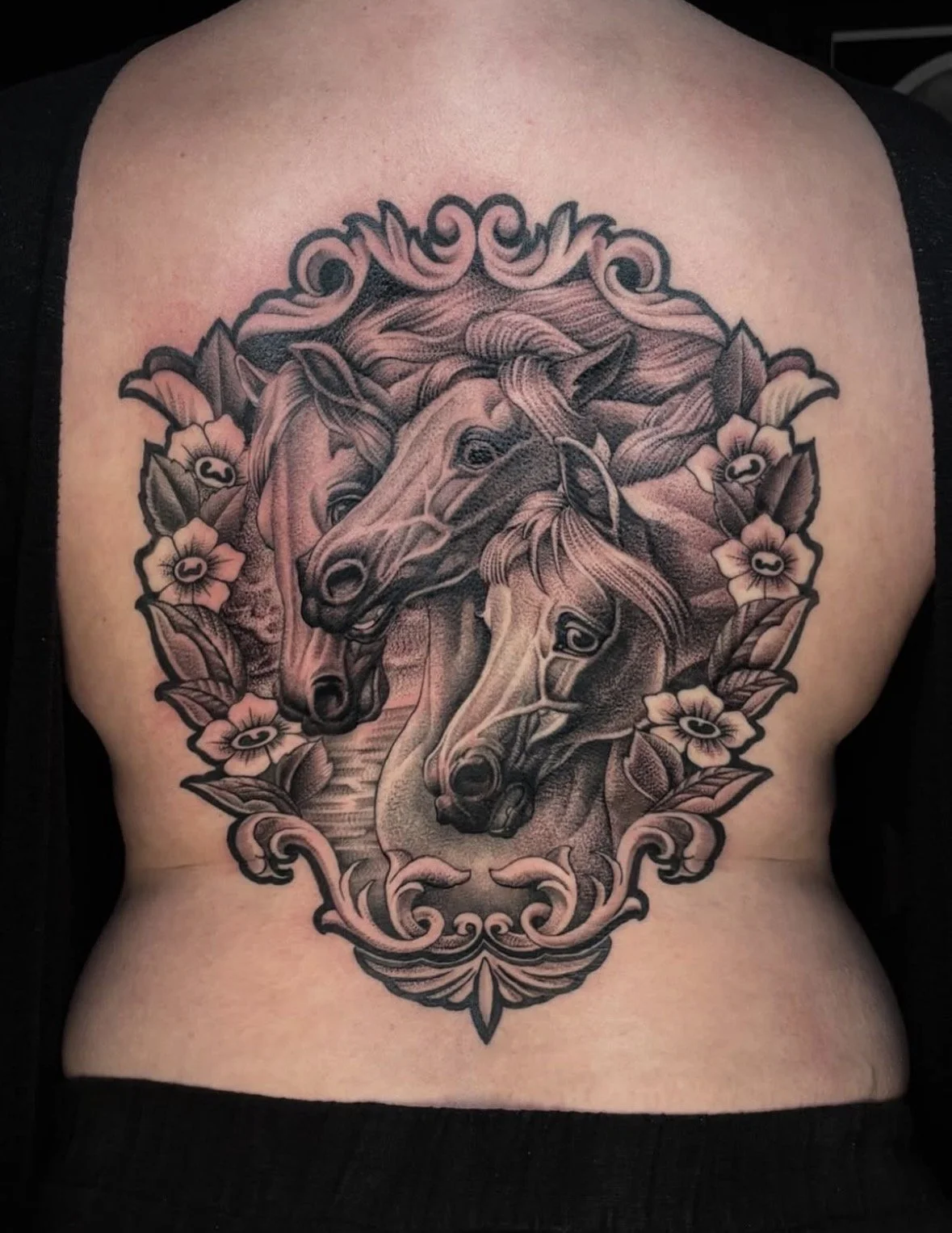 Rose Tattoo Flash Design Origins: Pharaoh’s Horses