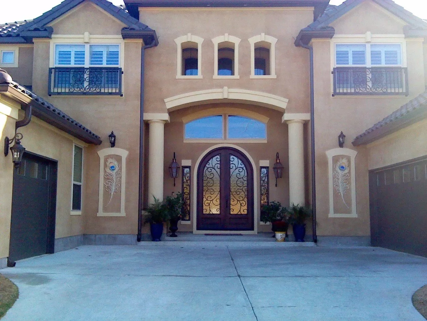 Peacock Feather 2.jpg