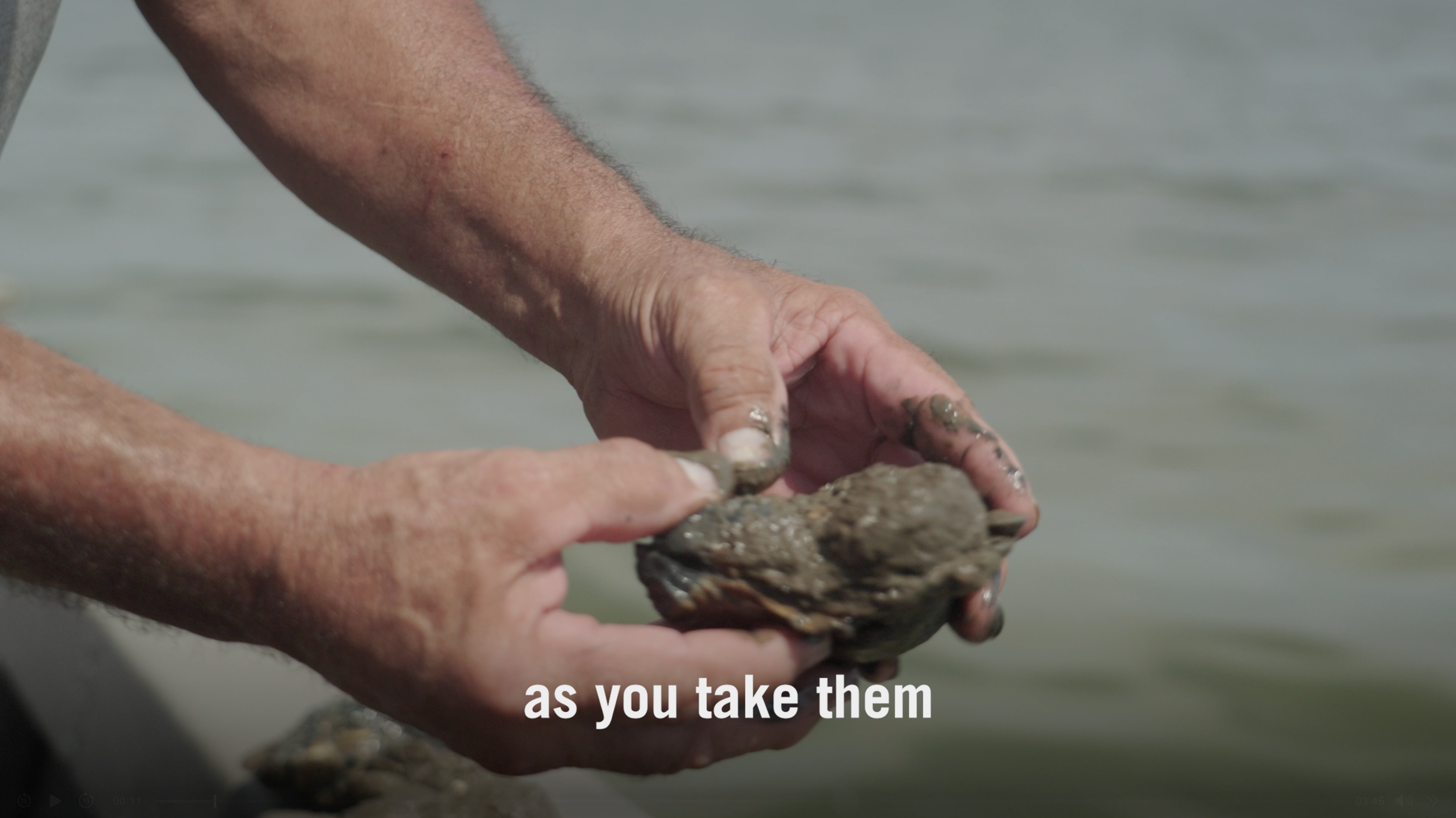 Fossil Free Media - Dredging in Cameron, Louisiana