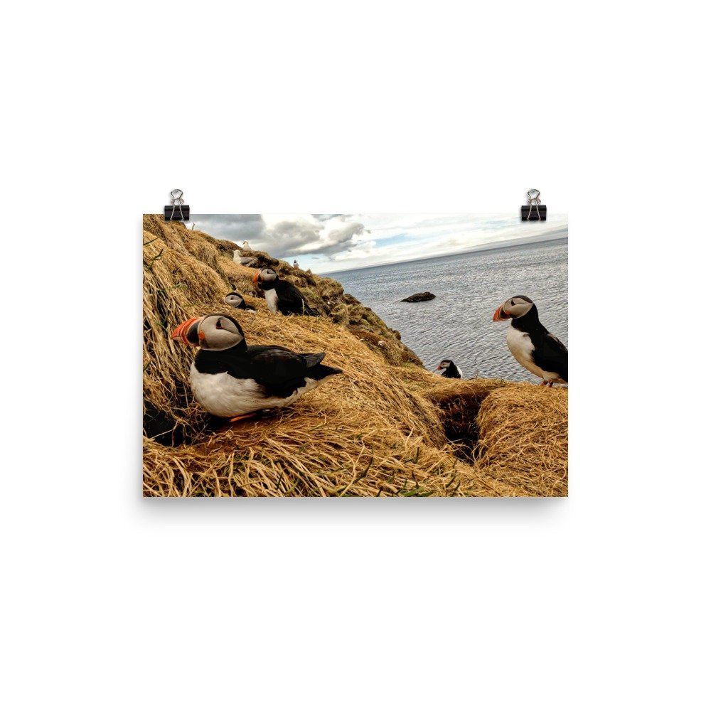 https://i.etsystatic.com/50856874/r/il/8918d6/5834612826/il_fullxfull.5834612826_3fw9.jpg