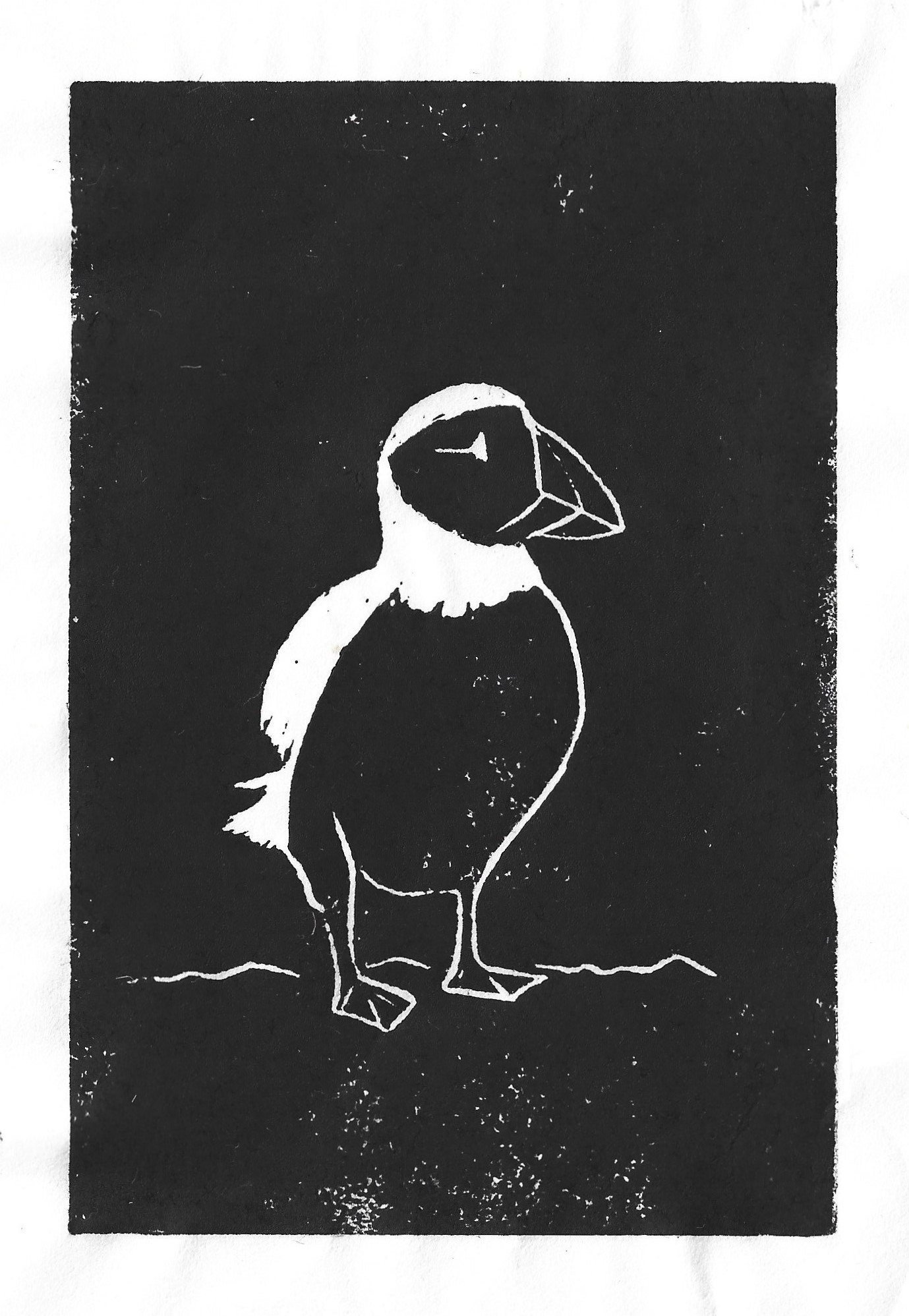 A detailed close-up of the puffin lino cut, showing the intricate hand-carved textures on a black background.