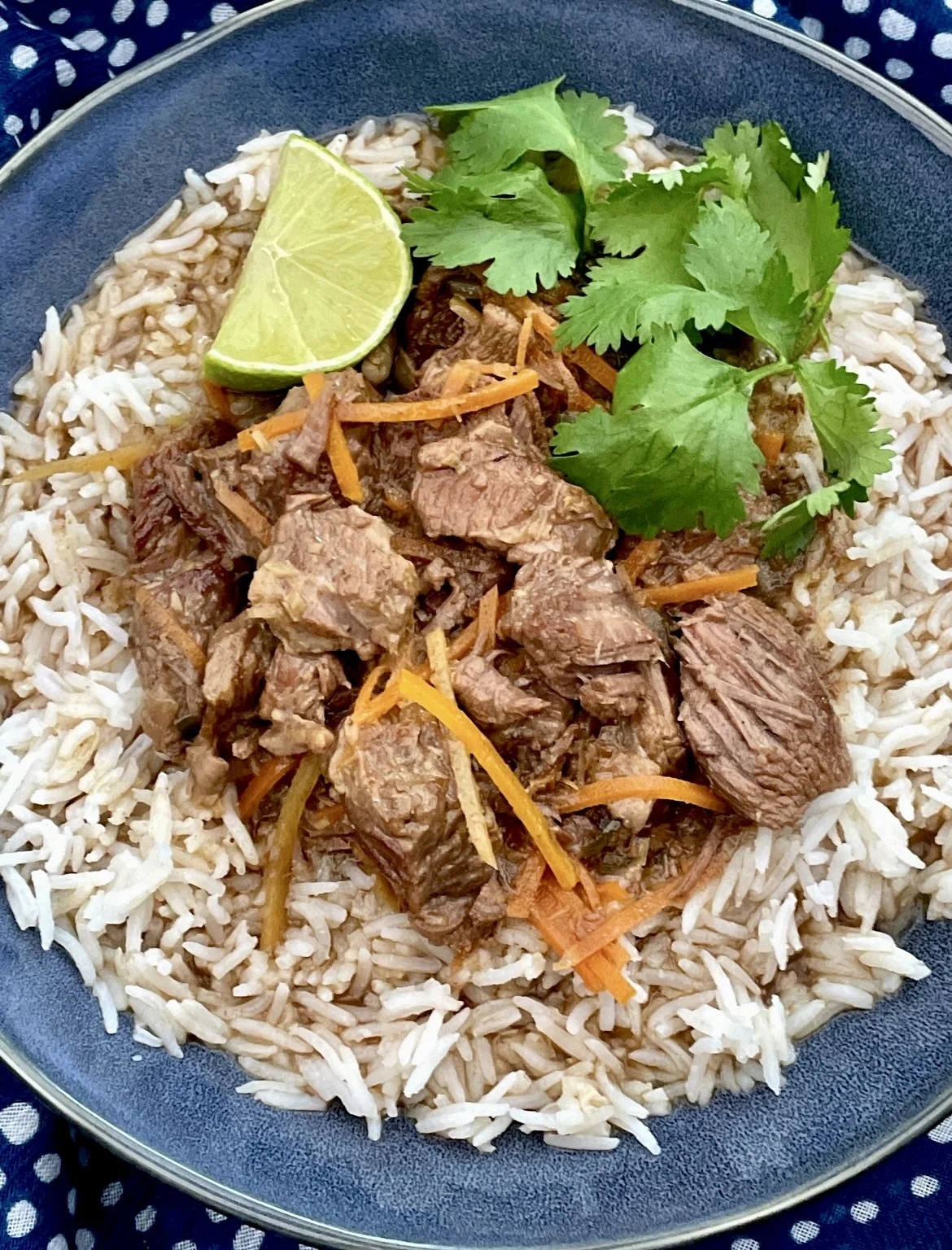 Vietnamese Braised Beef (slow cooker)