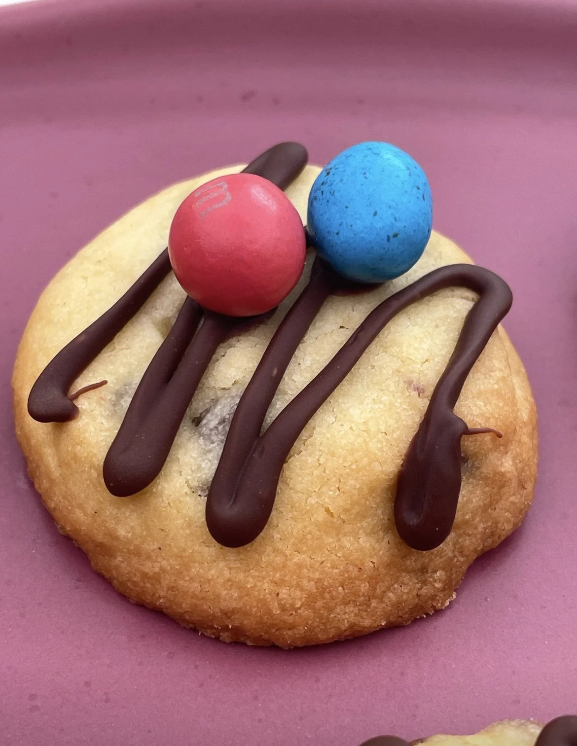 Chocolate Chip Shortbread Cookies