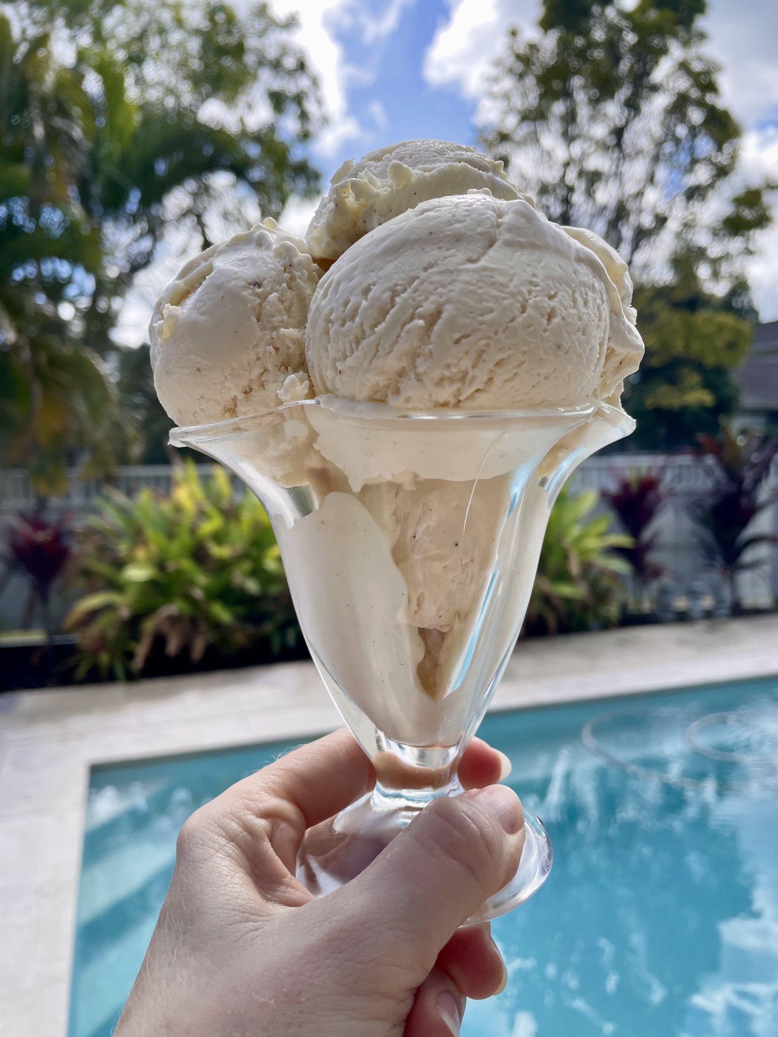 4 Ingredient No Churn Vanilla Ice Cream