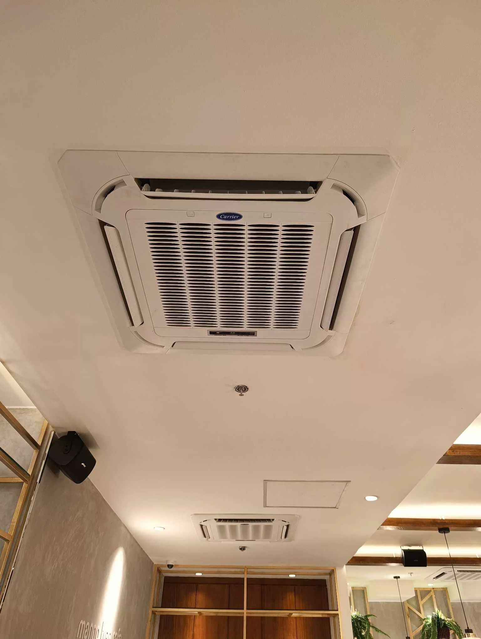 Mango Tree Cafe — Weathertech