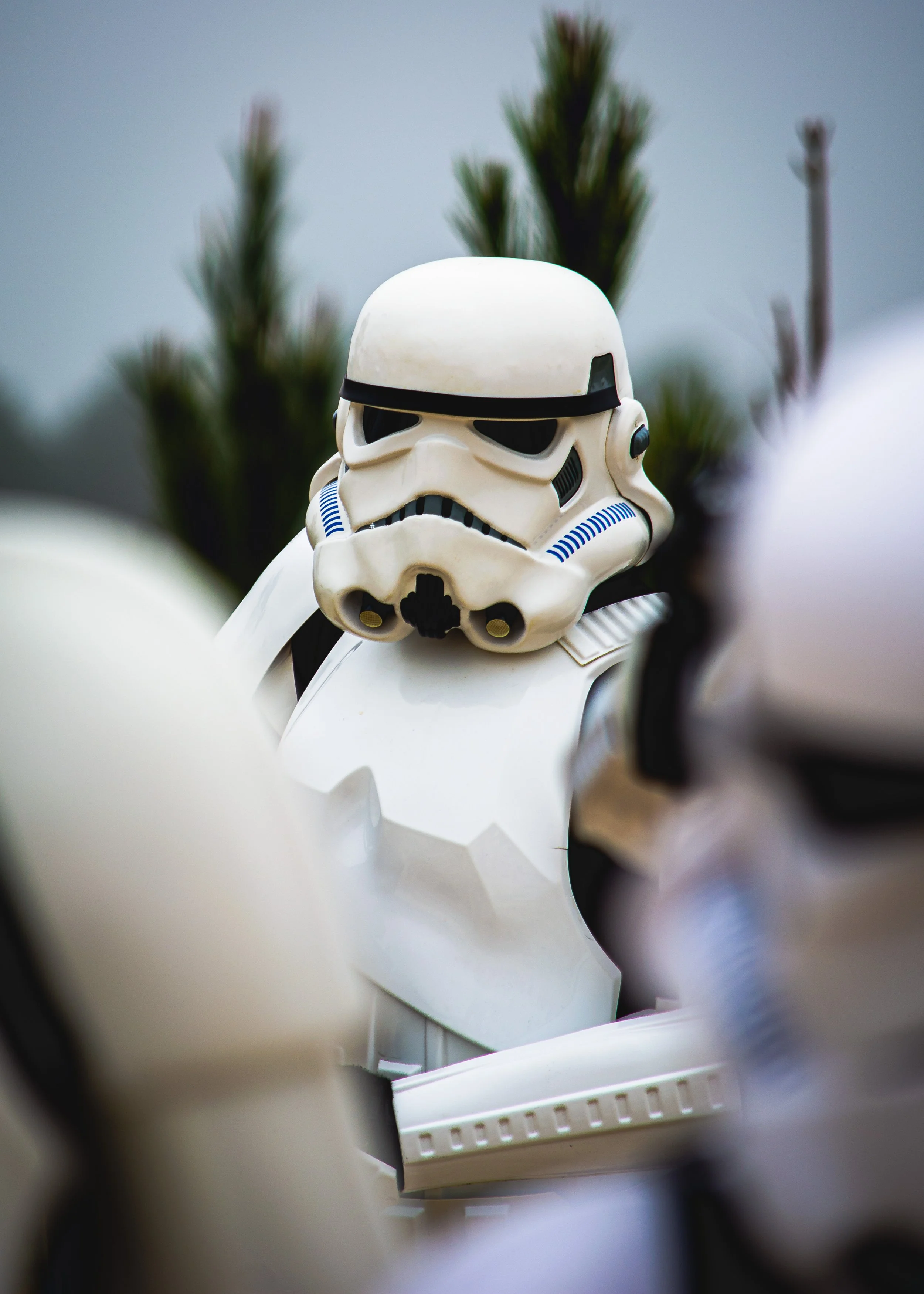 madalorians-05.jpg