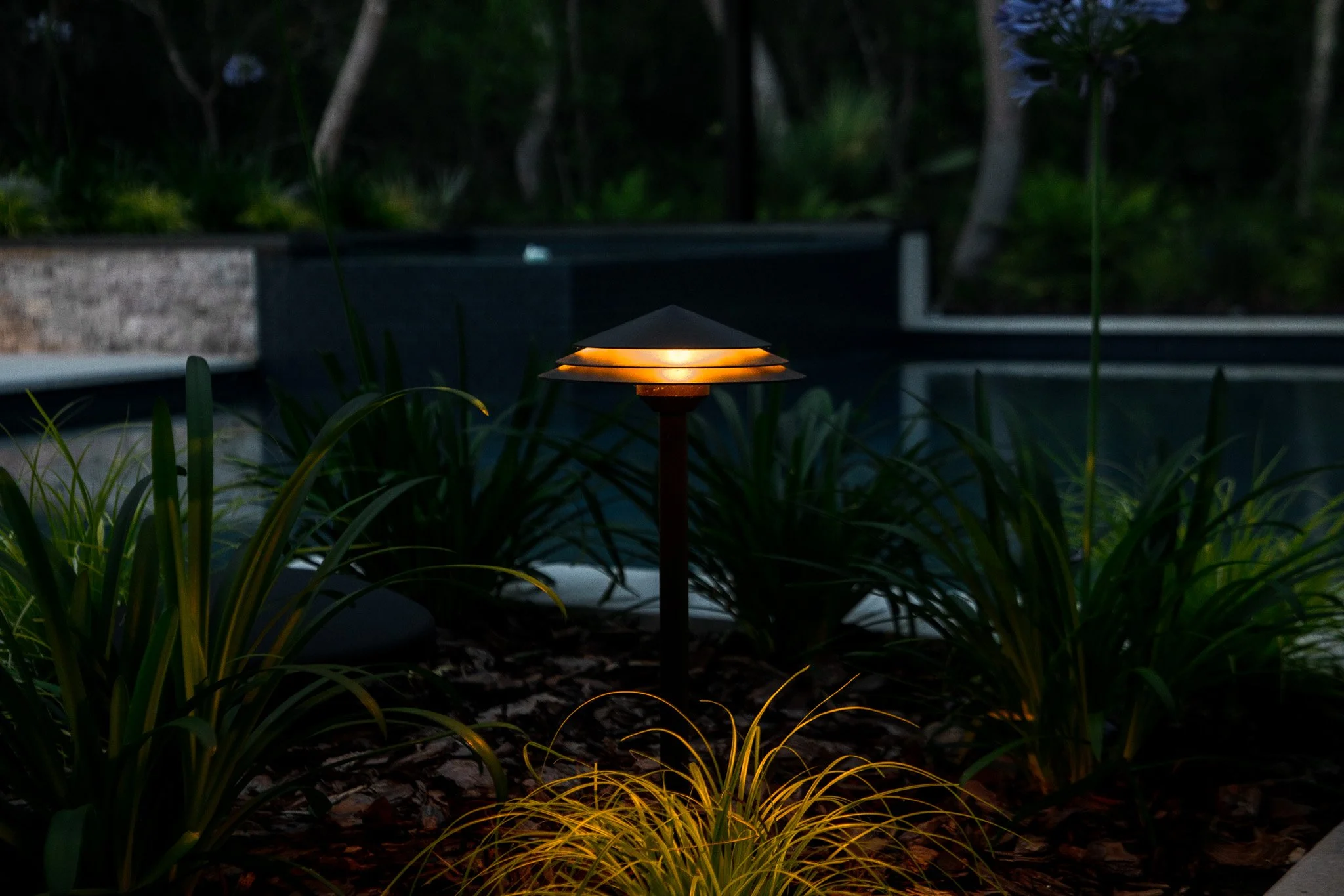 lucarelli_treehouse-08.jpg