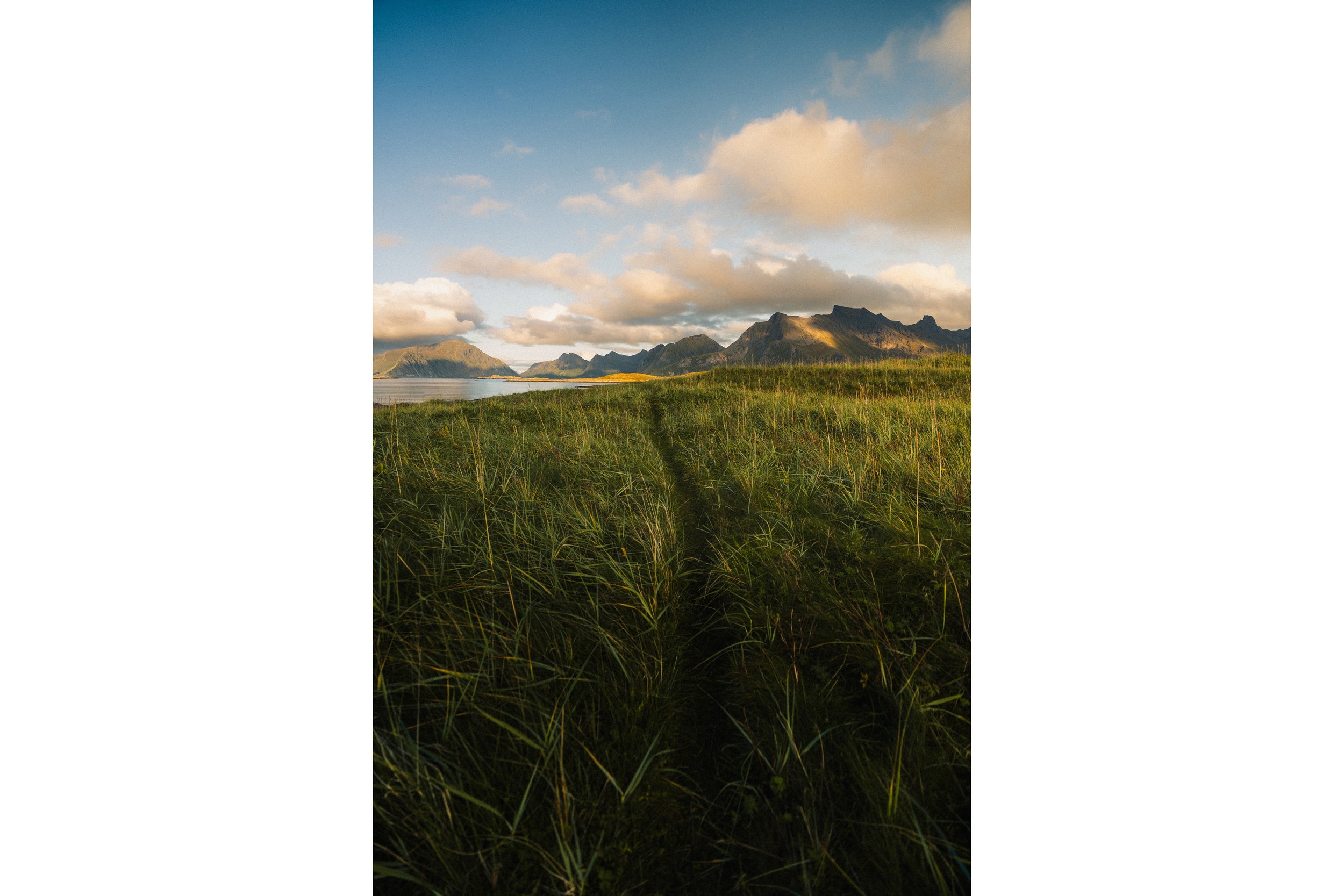 lofoten.jpg