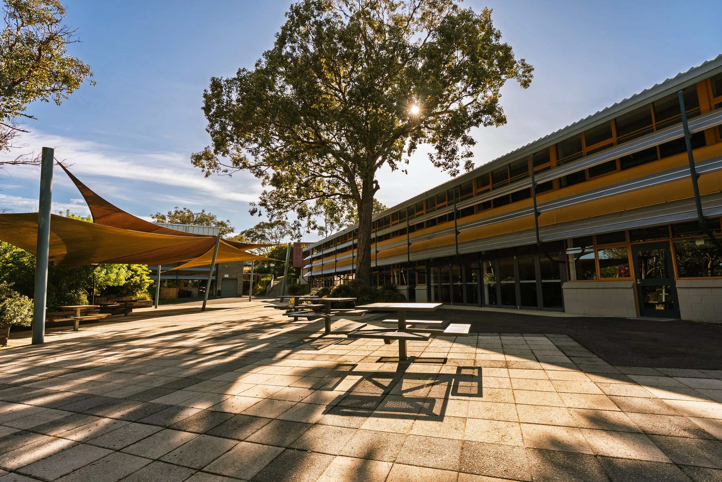 MarcusRead_Eltham-13.jpg