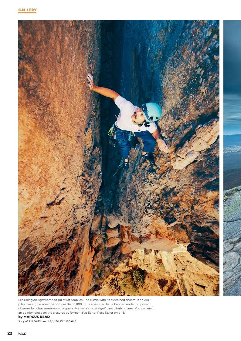 Wild Magazine issue 195