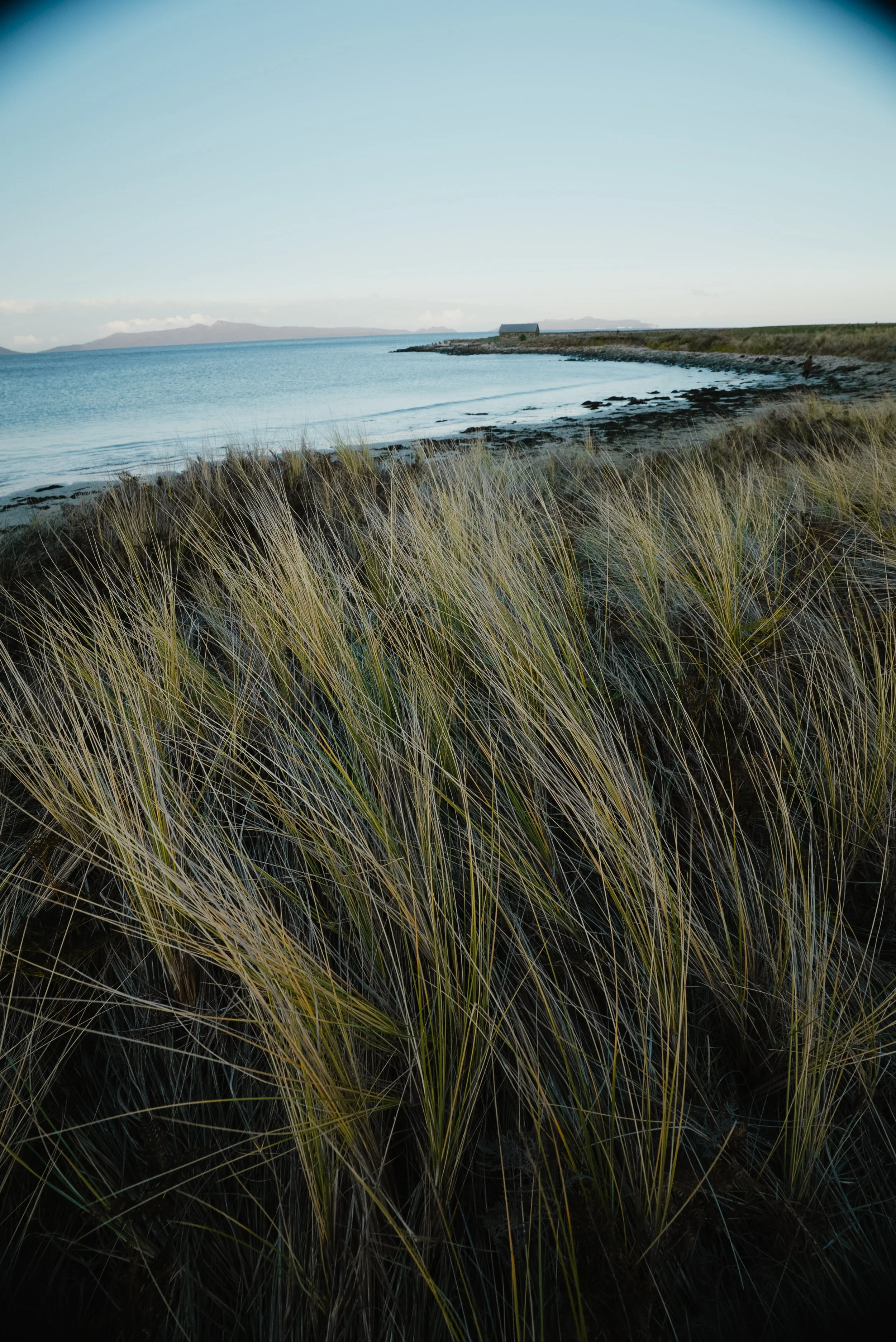 MarcusRead_Tasmania-2.jpg
