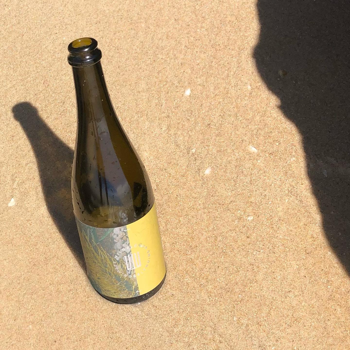 It&rsquo;s feeling like a &ldquo;Good as Gold&rdquo; Thursday and with rising mercuries today in Perth we couldn&rsquo;t imagine a better way to end the afternoon than a cold bottle of @wildflowerbeer down by the water!
