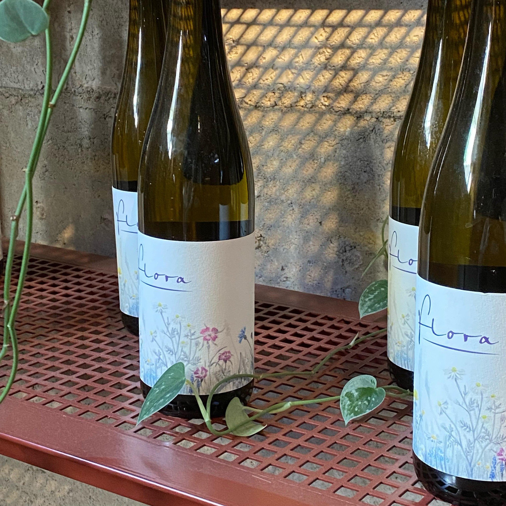 A bottle of gorgeous @mister_gindl Flora with lunch?

Nuanced and quenching this seductive Austrian Riesling blend catches us calling out its name when a Thai salad is on for lunch.