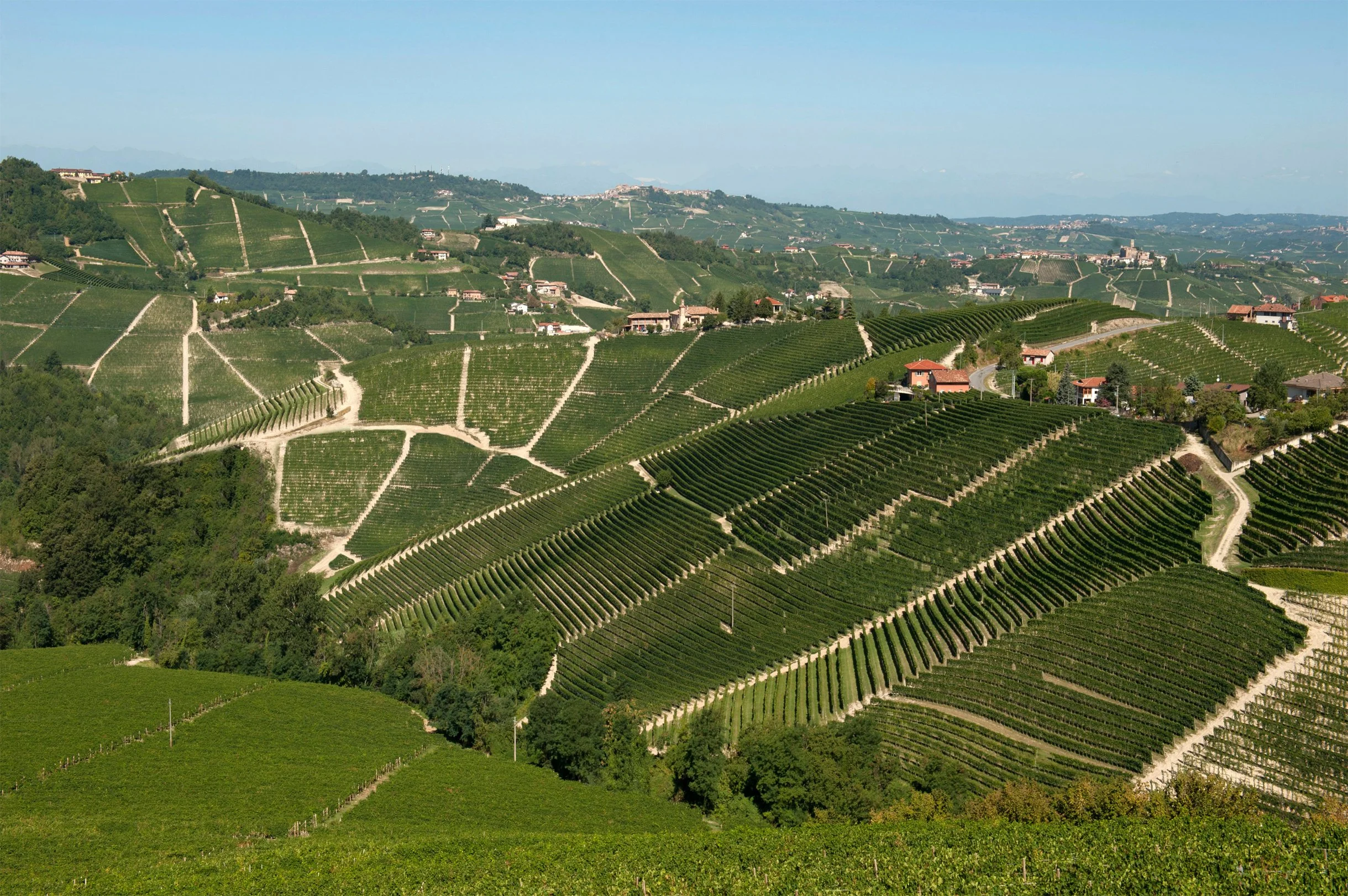 vigna-ornato.jpg
