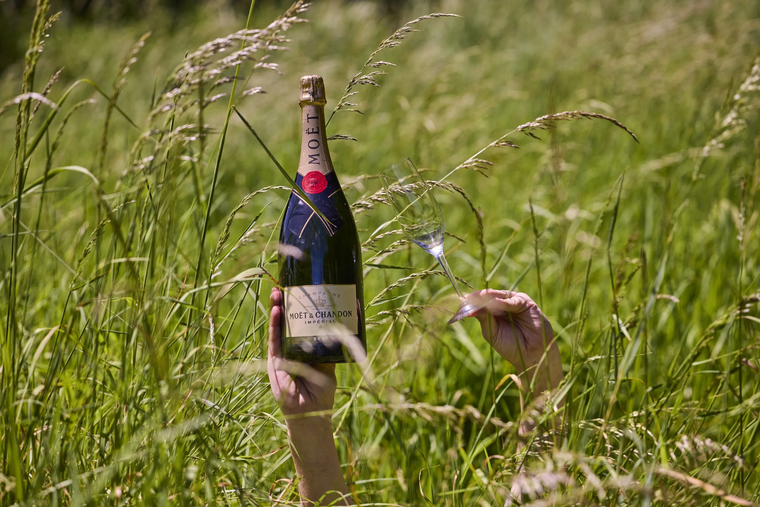 Wine Online Dec Styled 8.jpg
