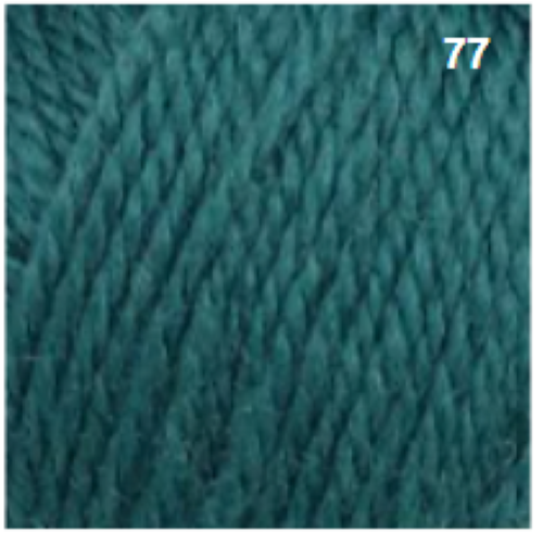 77_2025_1080x.png