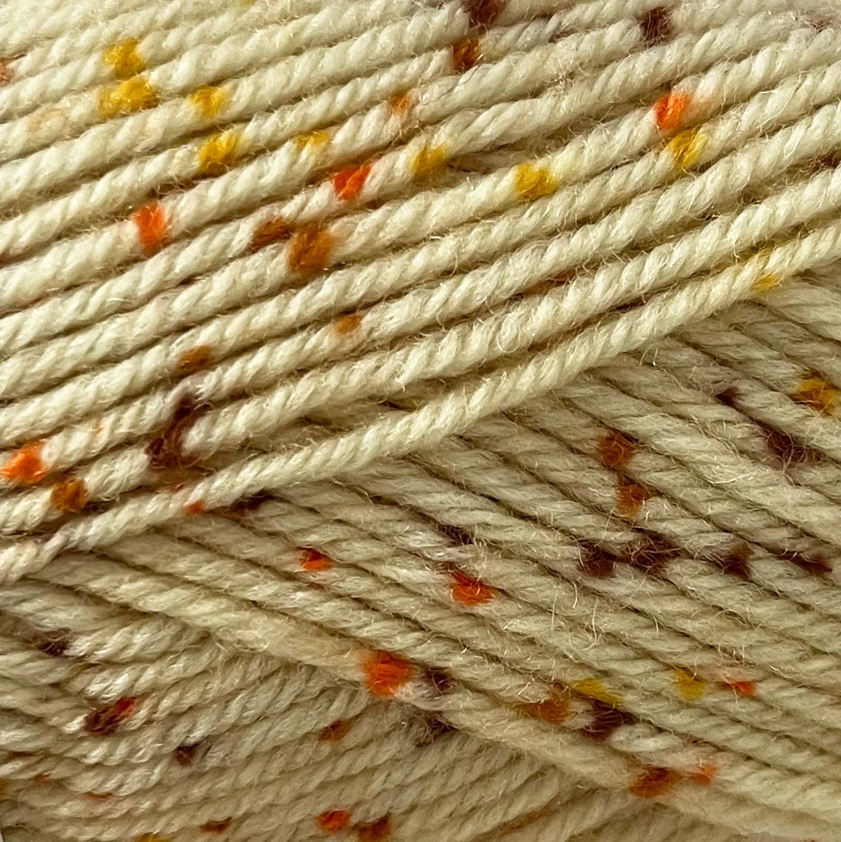 3504Nov2024165835.jpg