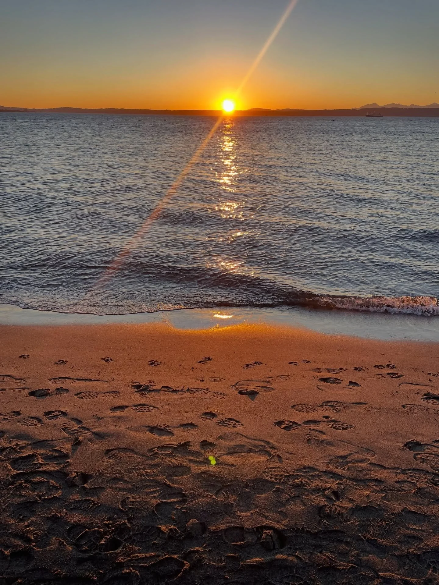 West-Coast Sunsets🤍