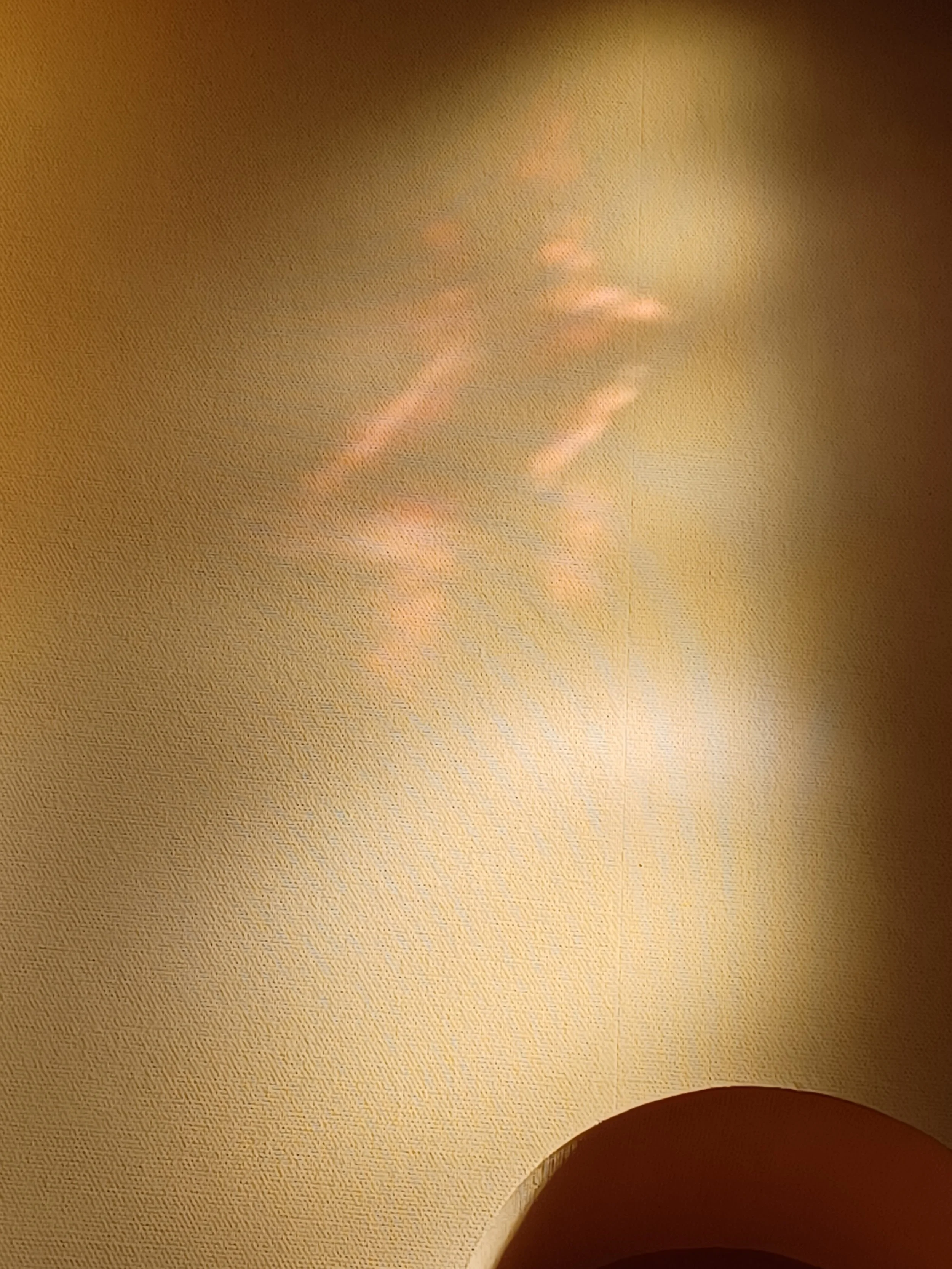 20260919_155241.jpg