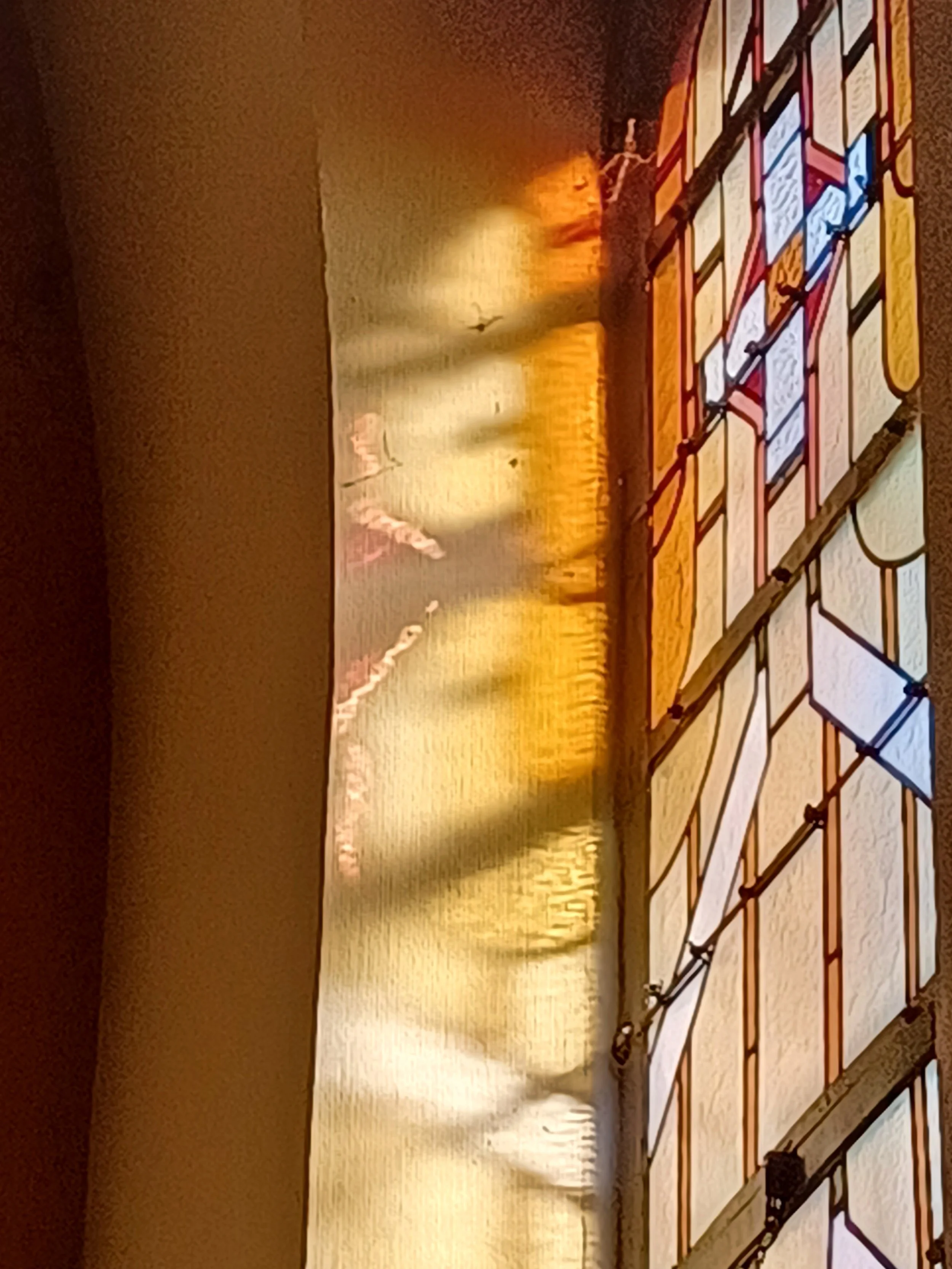 20260919_165421.jpg