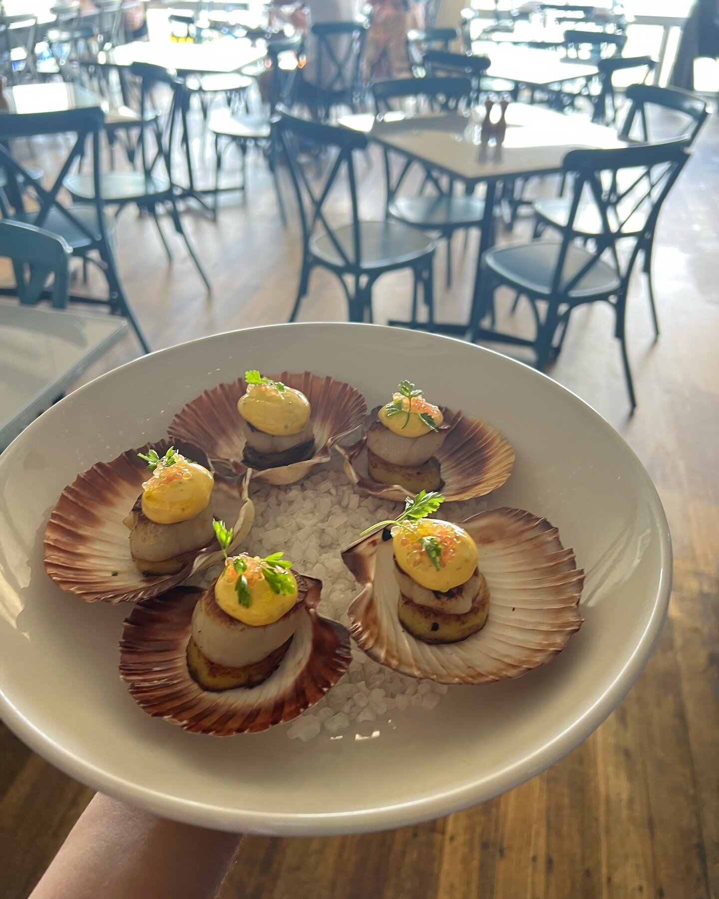 Special entree of the day: Scallops, potatoes, b&eacute;arnaise and finger lime 🐠

#Bayside #HalfMoonBay #BlackRock #BlackRockVillage #cerberus #CerberusBeachHouse #FishAndChips #OceanView #DinnerWithAView #SupportSmallBusiness #MelbourneSmallBusine