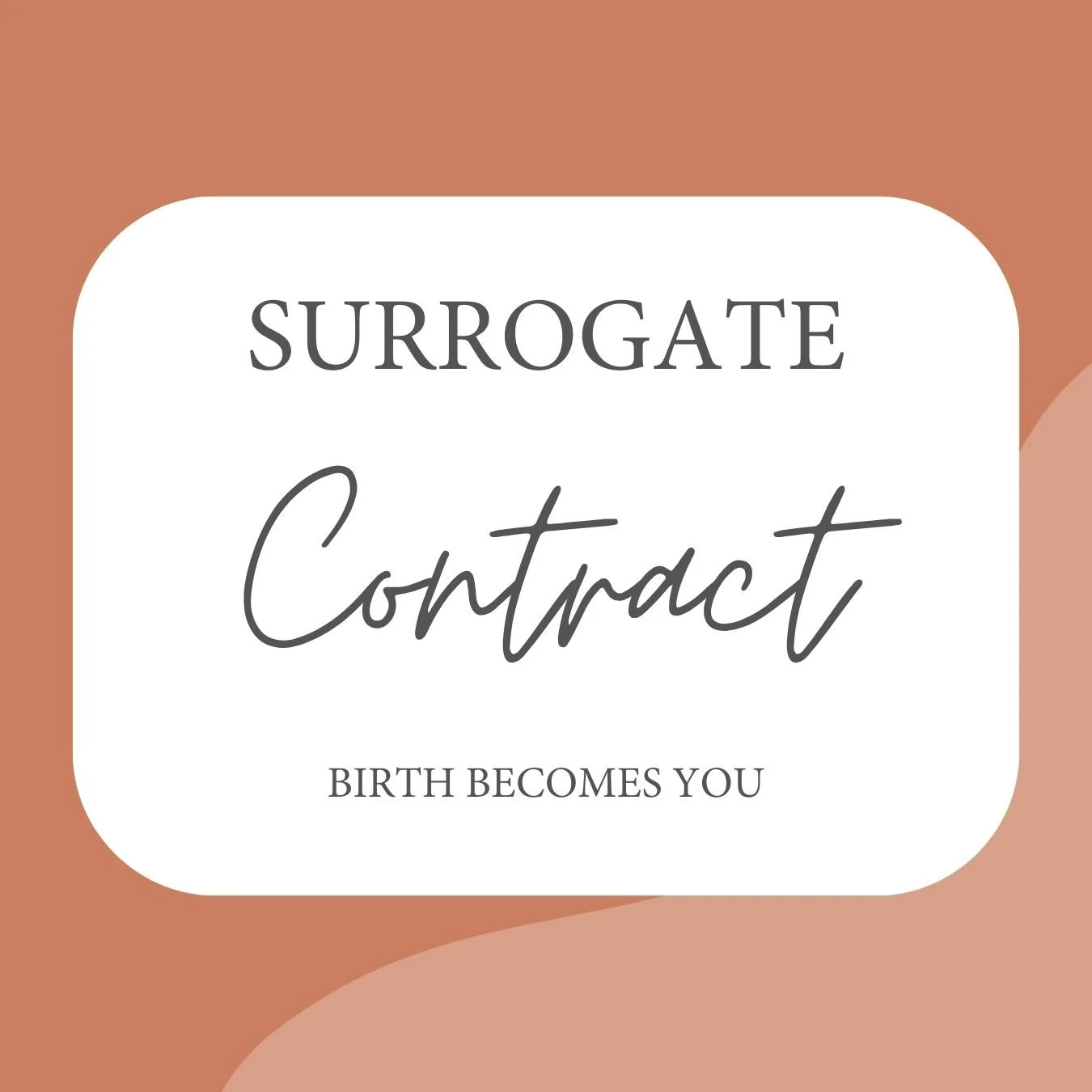 Fresh 48 Contract and Model Release for Photographers — Birth Becomes You