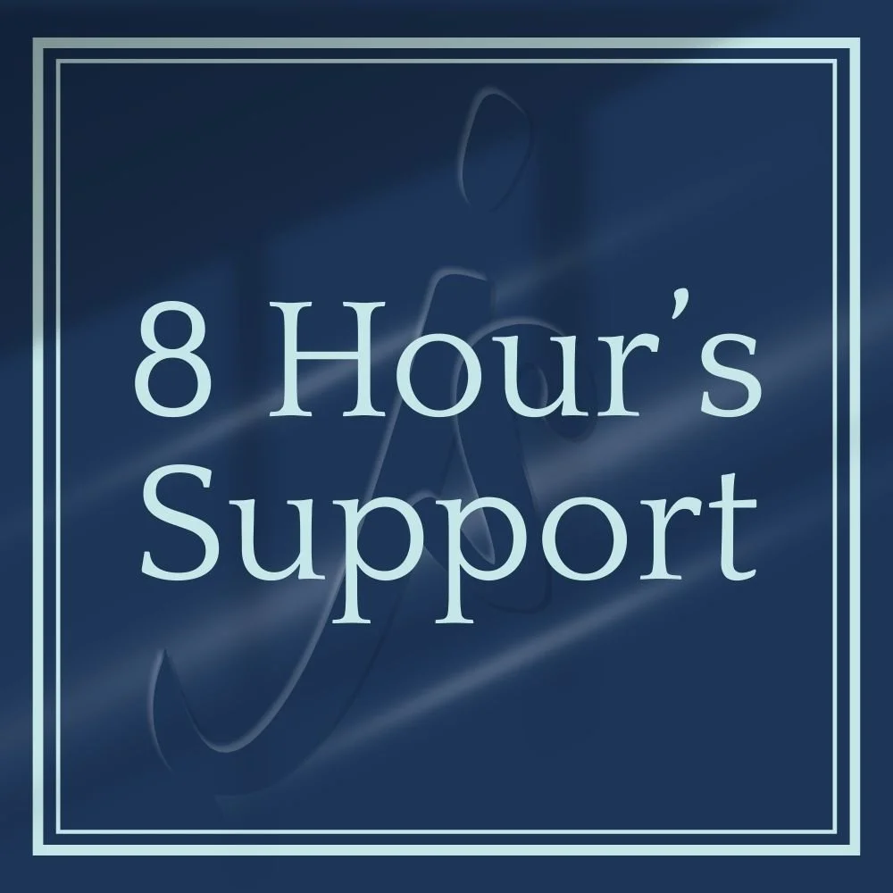 8 Hour's Professional Support for your Website