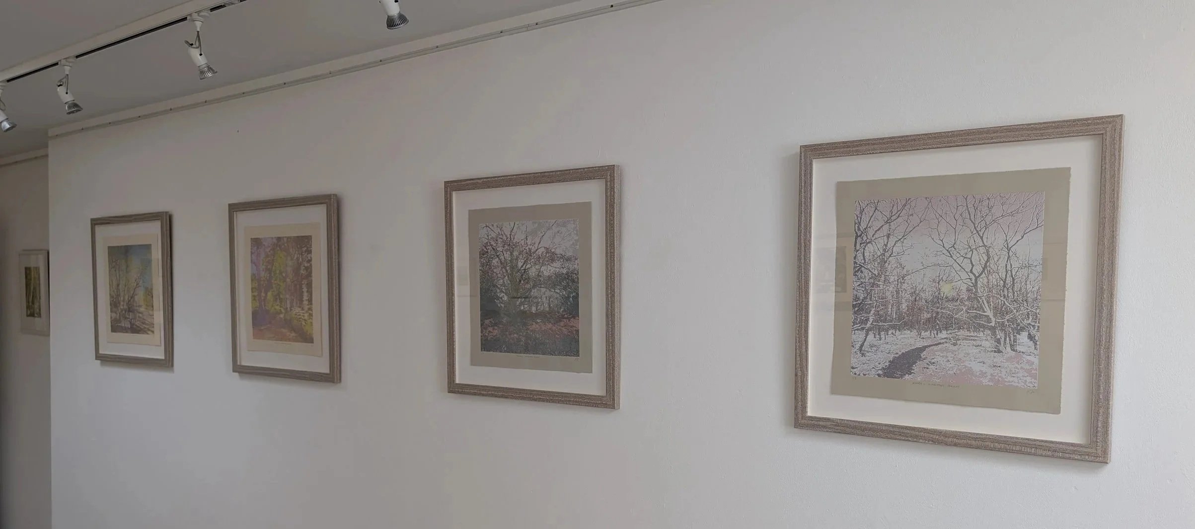 PXL_20260429_140313520.jpg