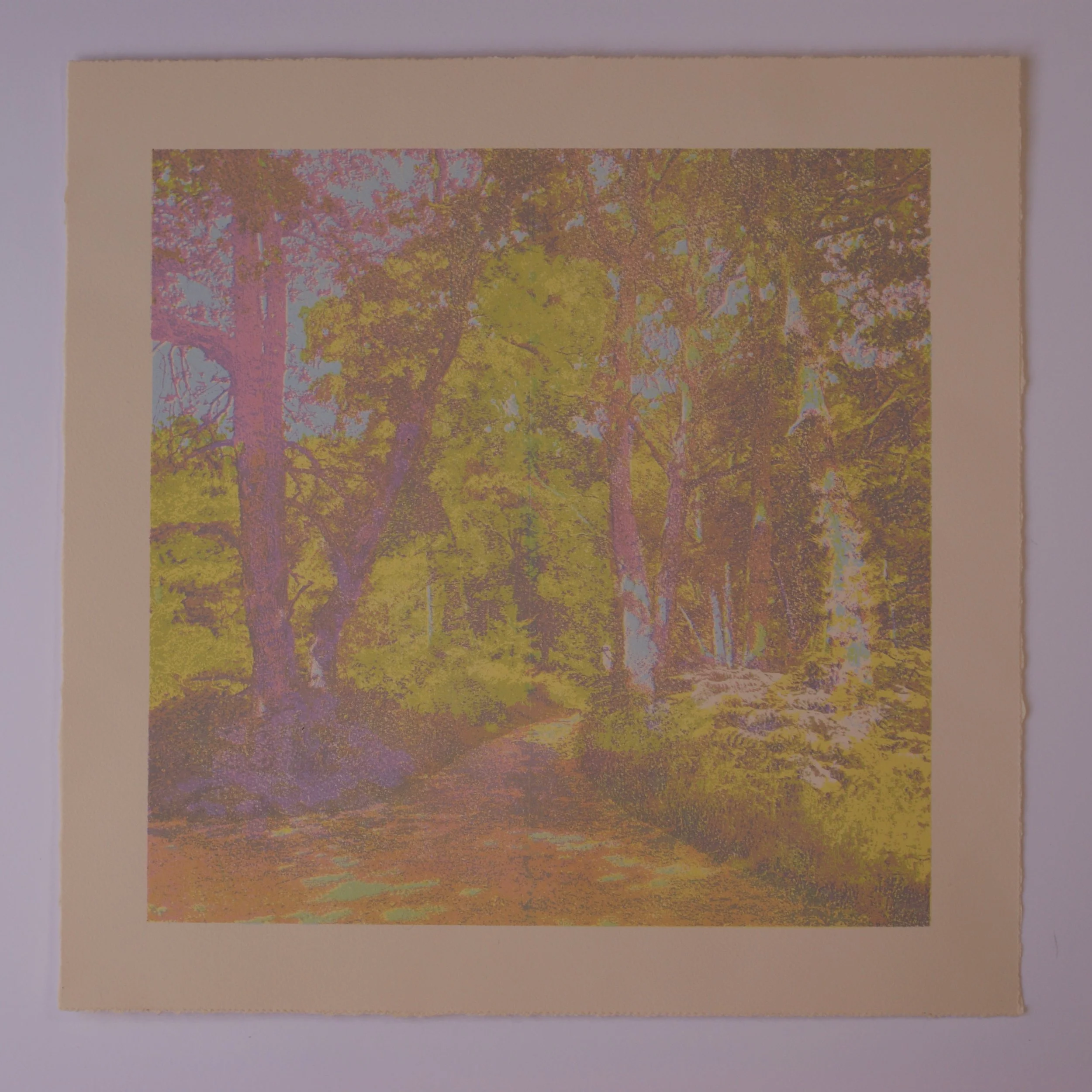 Seasons Series - Summer