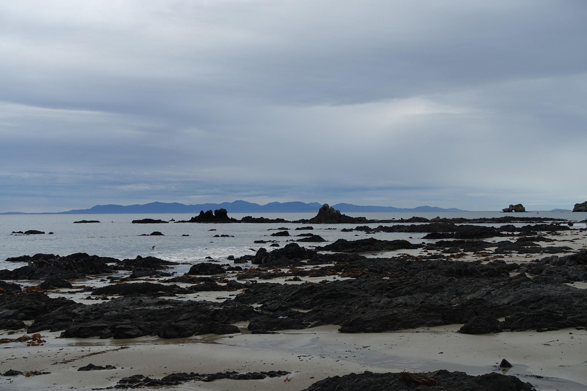 DSC02237.jpeg