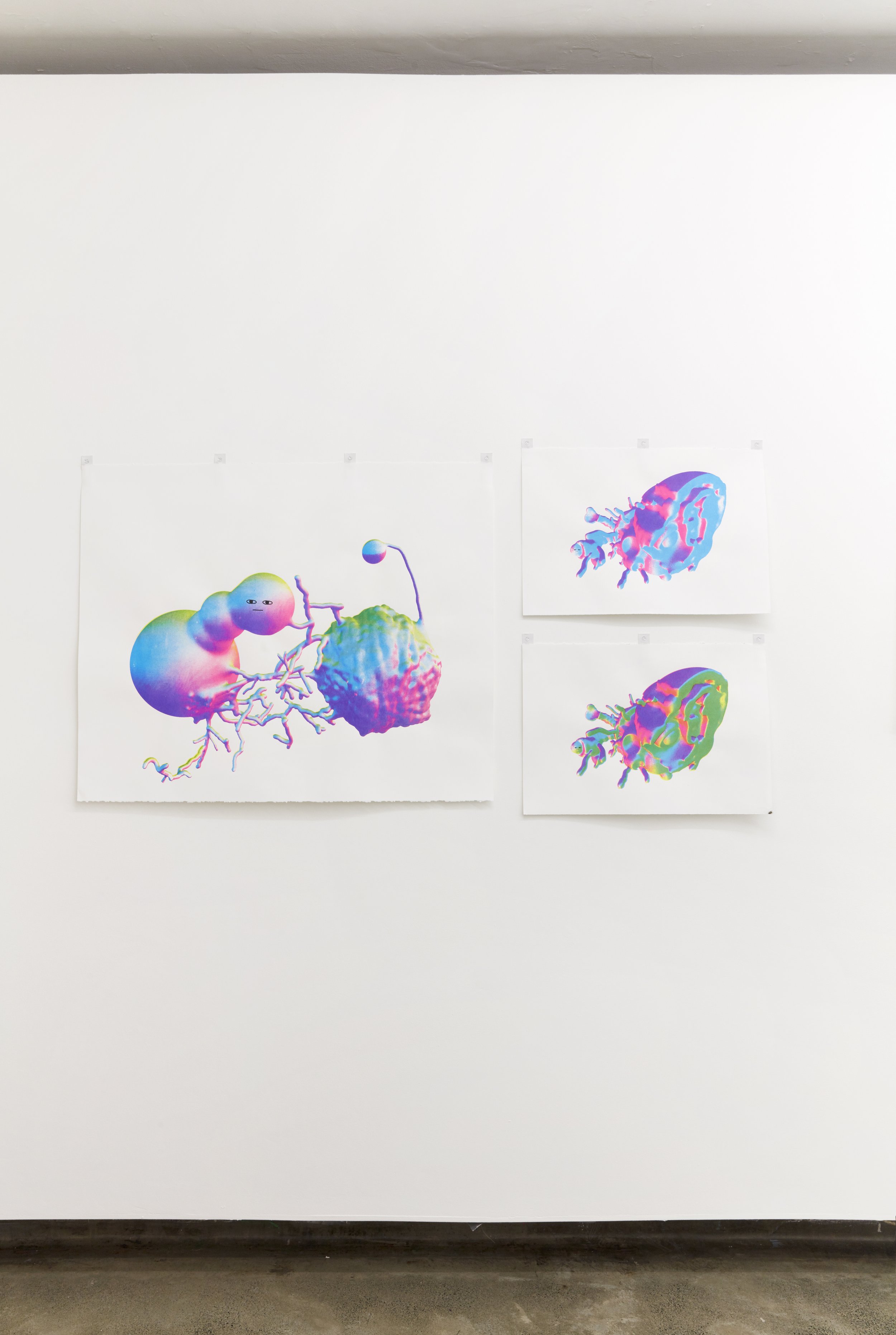 April Phillips, EGG, 2021, installation view, Firstdraft, Sydney. Photo credit: Zan Wimberley.