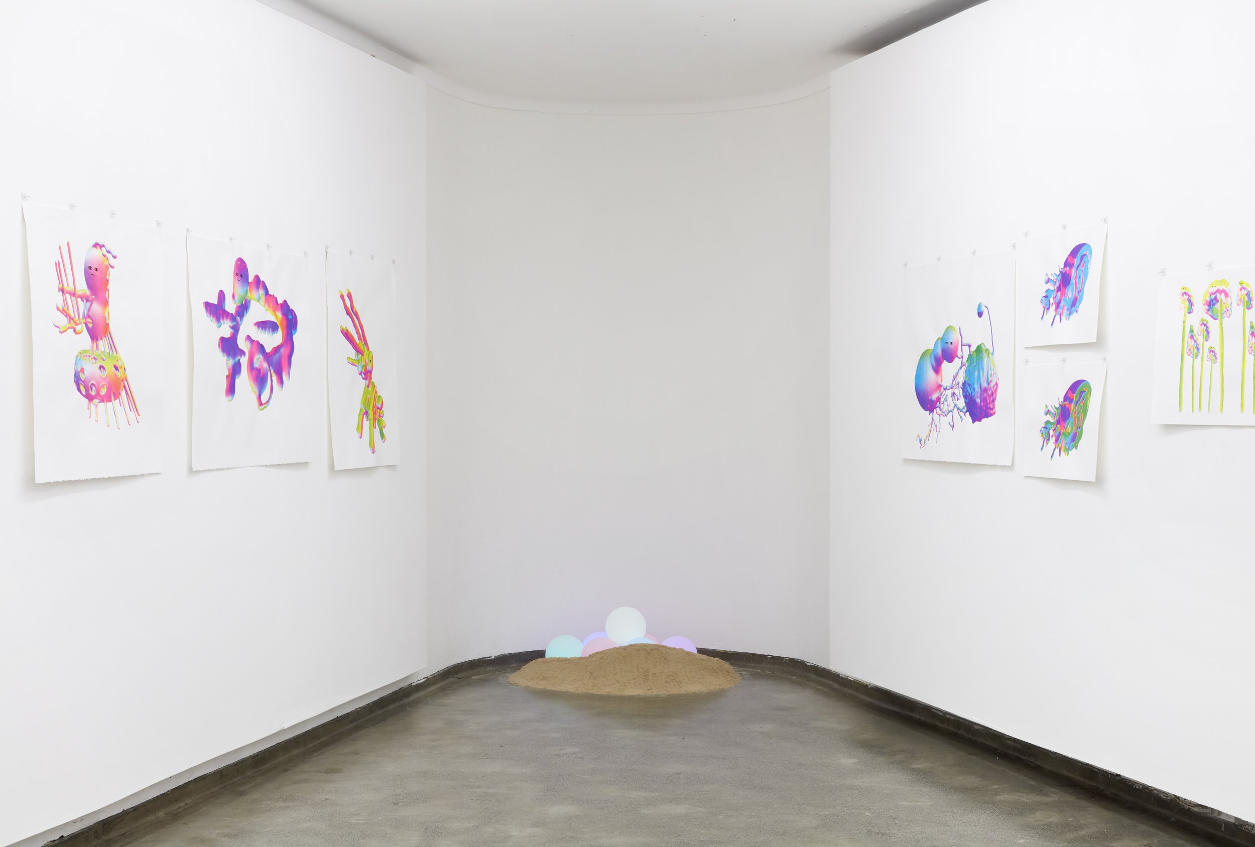 April Phillips, EGG, 2021, installation view, Firstdraft, Sydney. Photo credit: Zan Wimberley.
