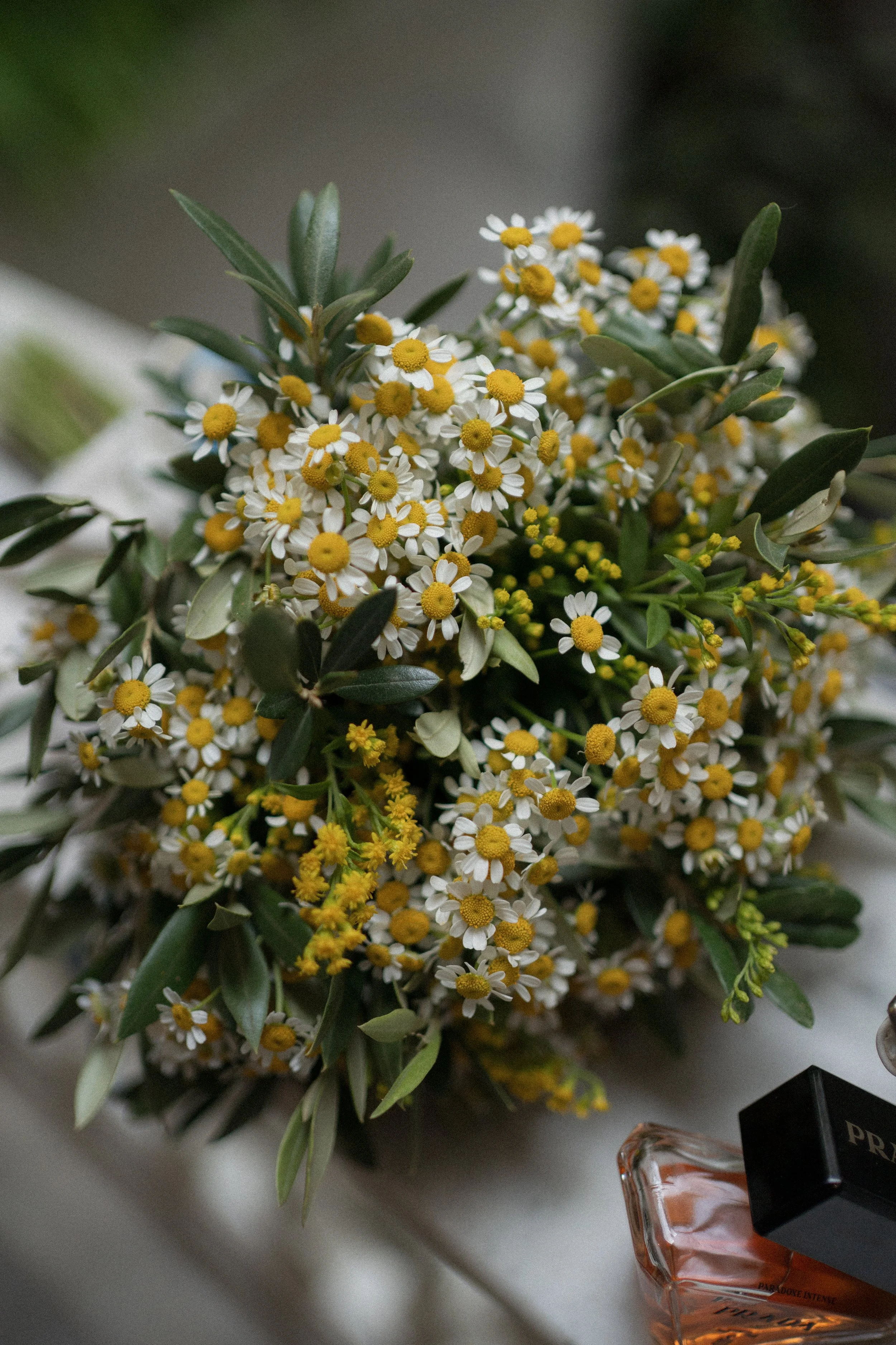 Ramo de flores pequeñas blancas y amarillas, con hojas verdes.
