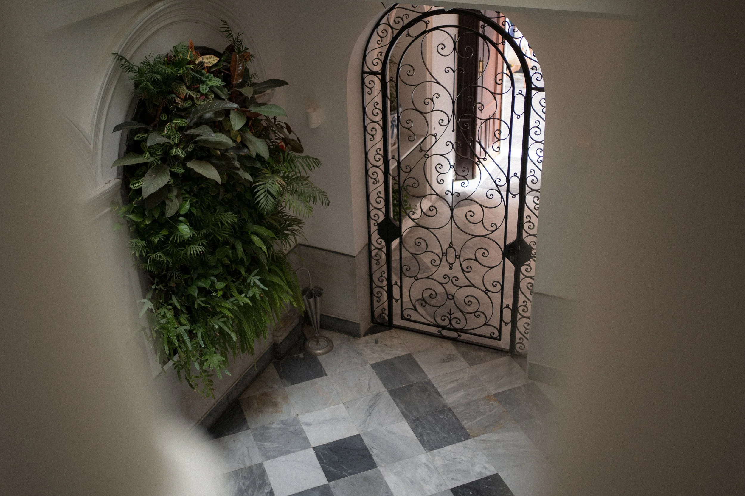 Puerta de hierro con diseño decorativo en un vestíbulo con un florero y un árbol de interior a la izquierda, paredes blancas y suelo de mosaico en diferentes tonos.