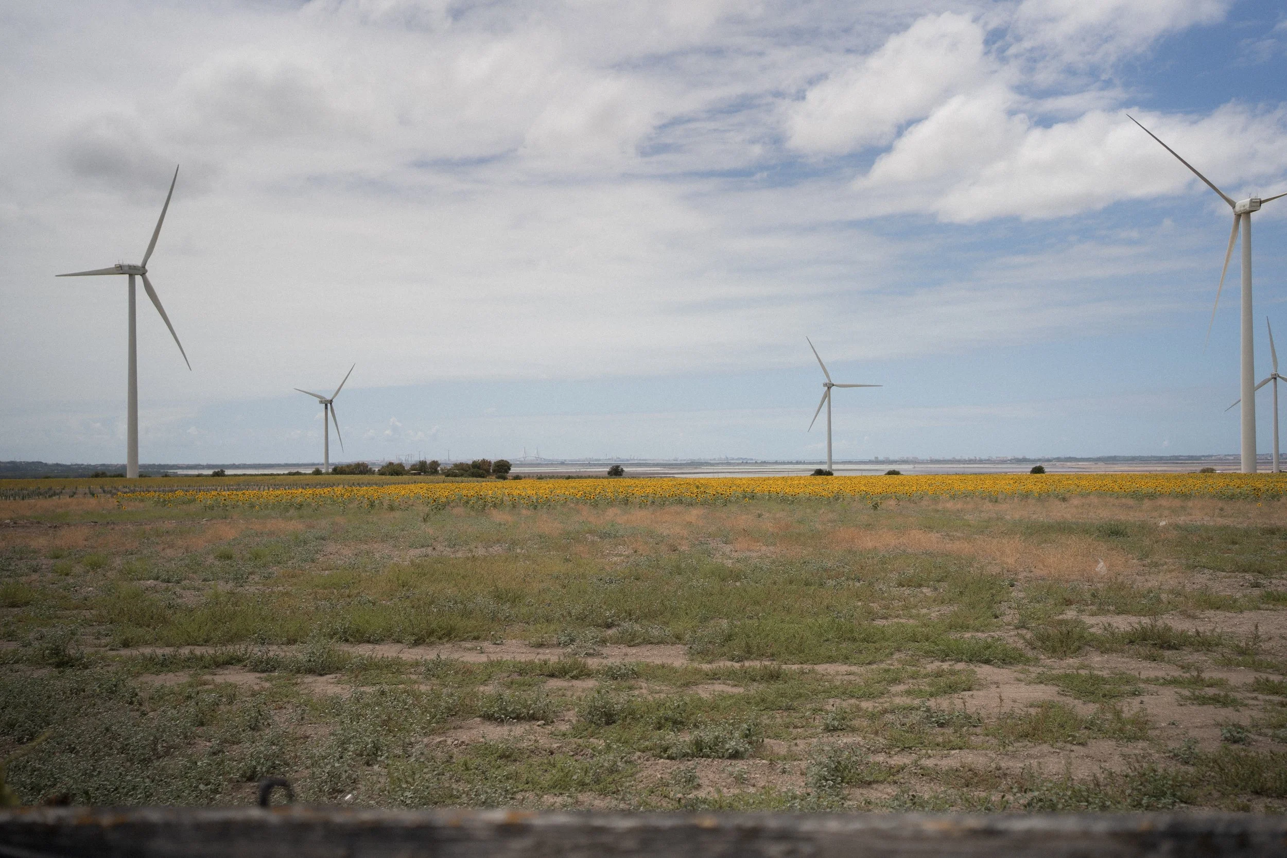 Campo con molinos de viento en un día nublado