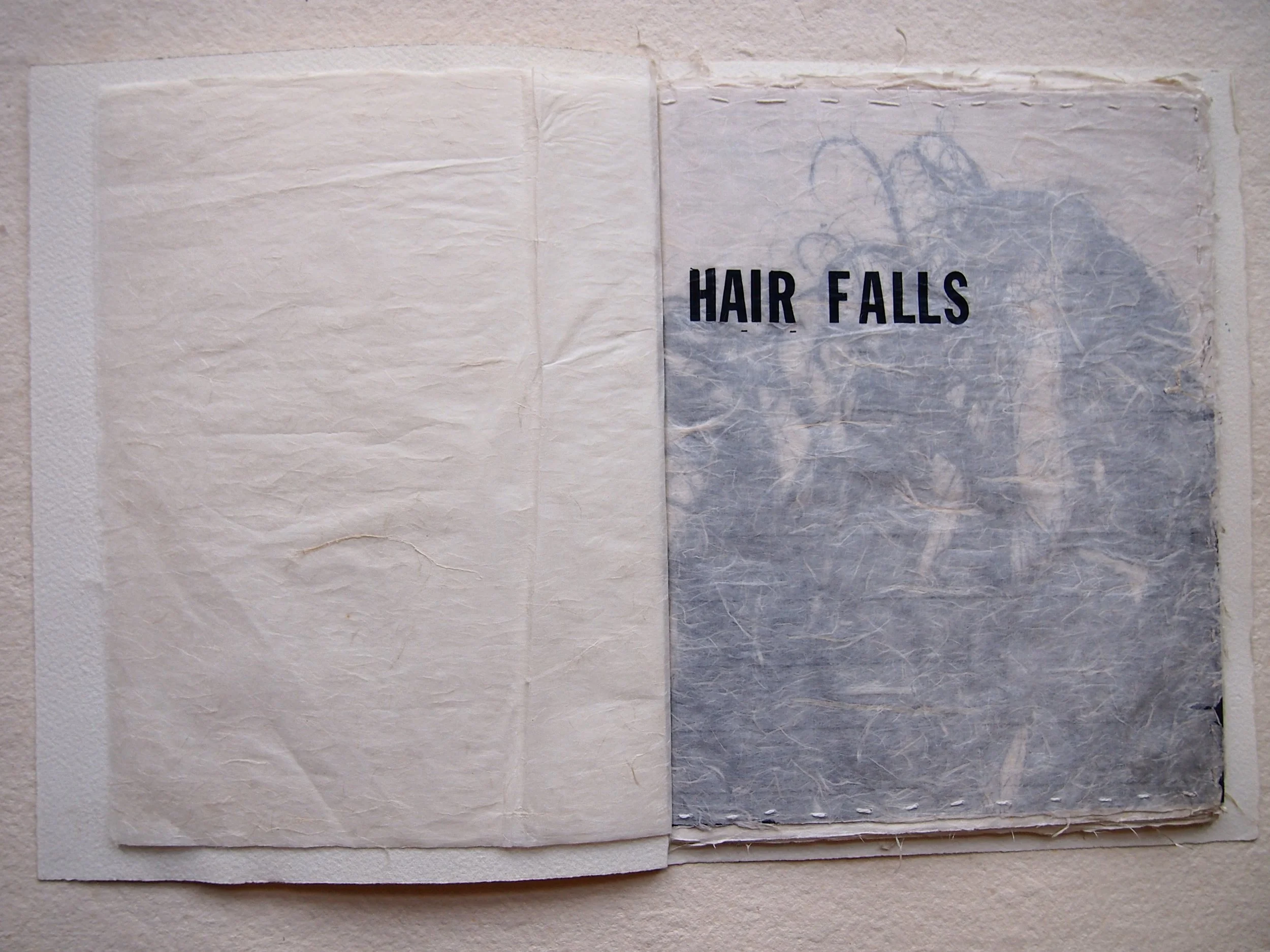 Hair falls as Night (detail)