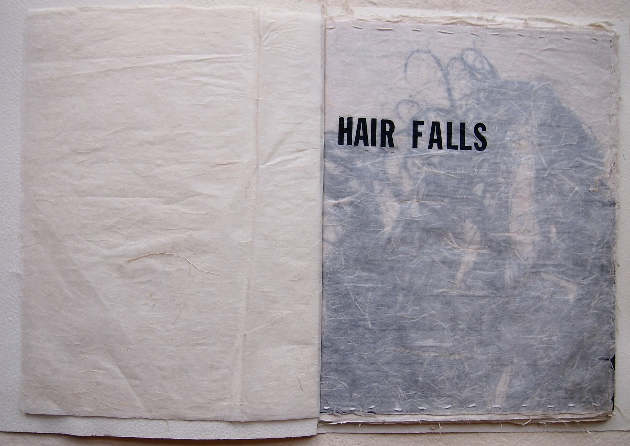 Hair falls as Night (detail)