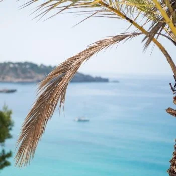 Should You Consider Getting Travel Insurance For Your Next Trip?