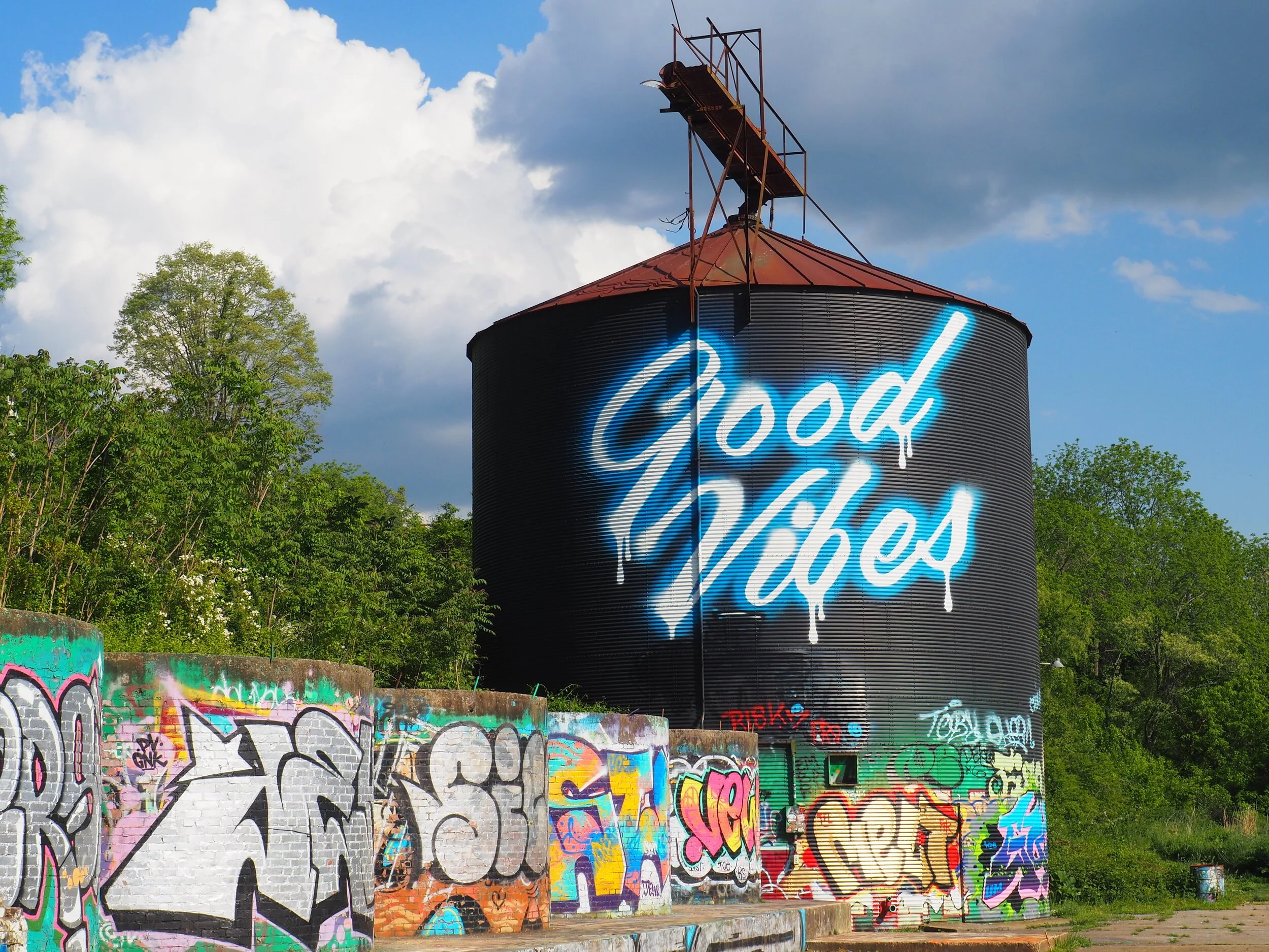 Reasons To Fall in Love with Asheville, NC