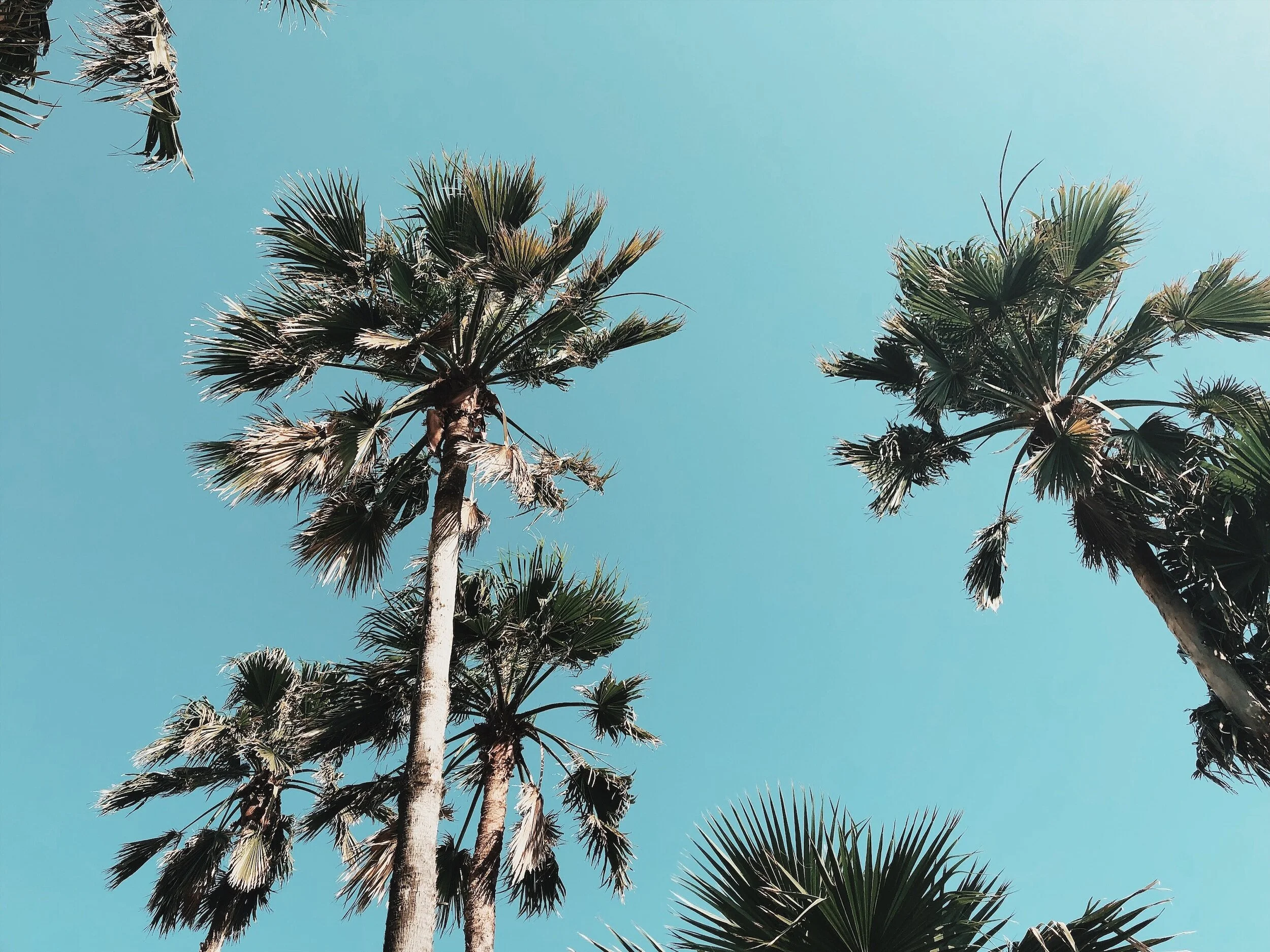 6 Spring Break Travel Tips