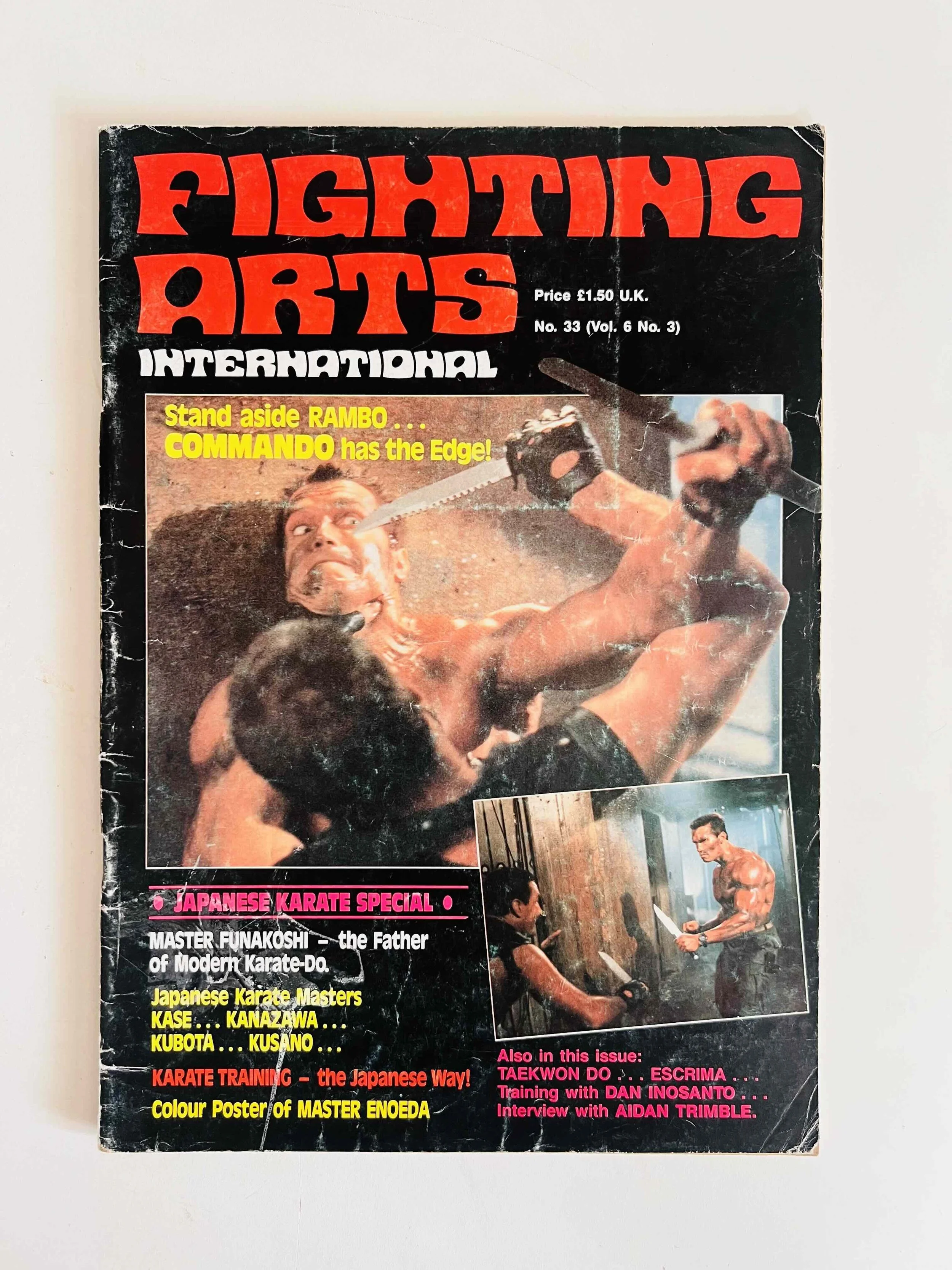 Fighting Arts International - No. 33 (Vol. 6 No. 3)