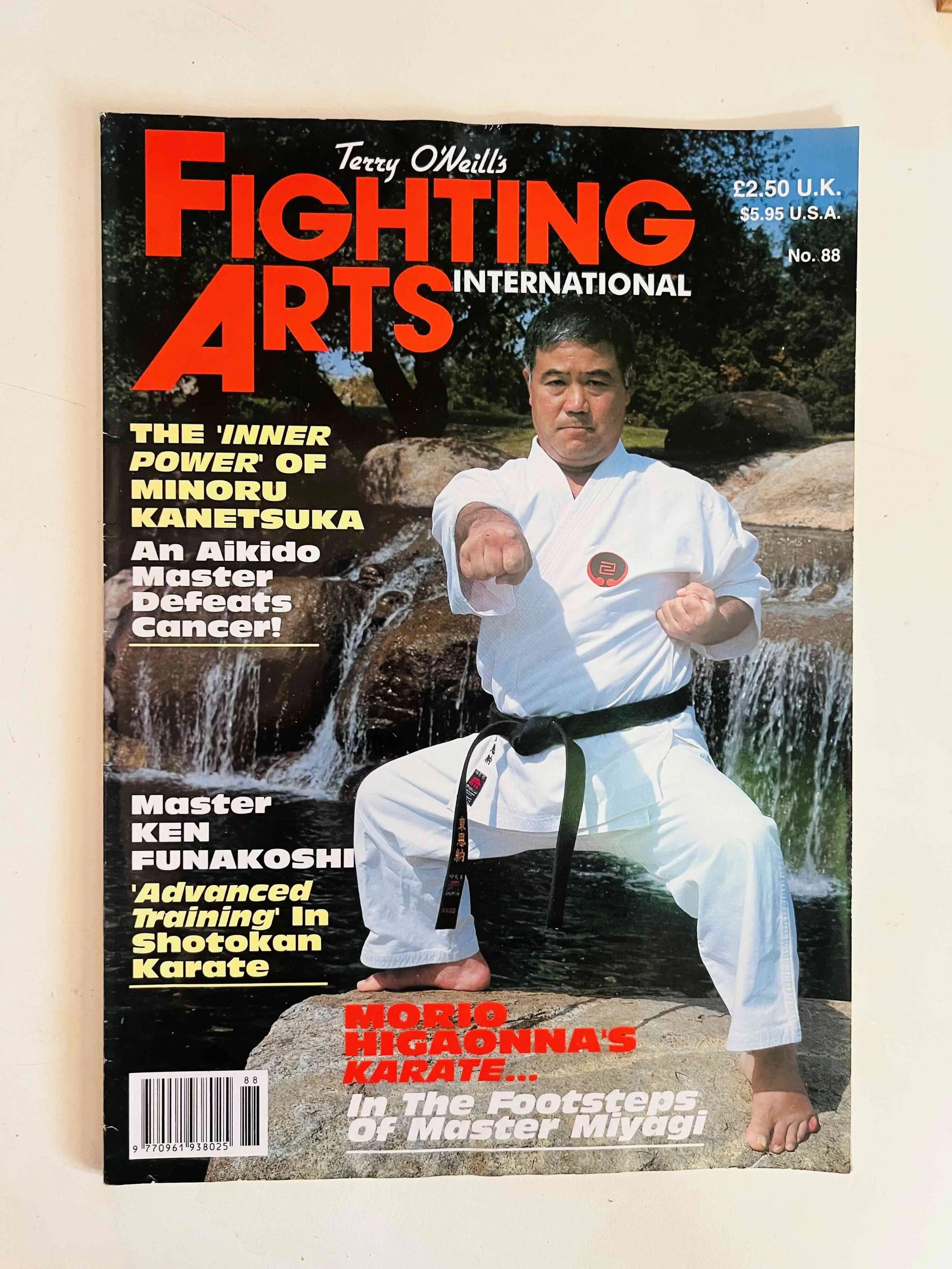 Fighting Arts International - No. 88
