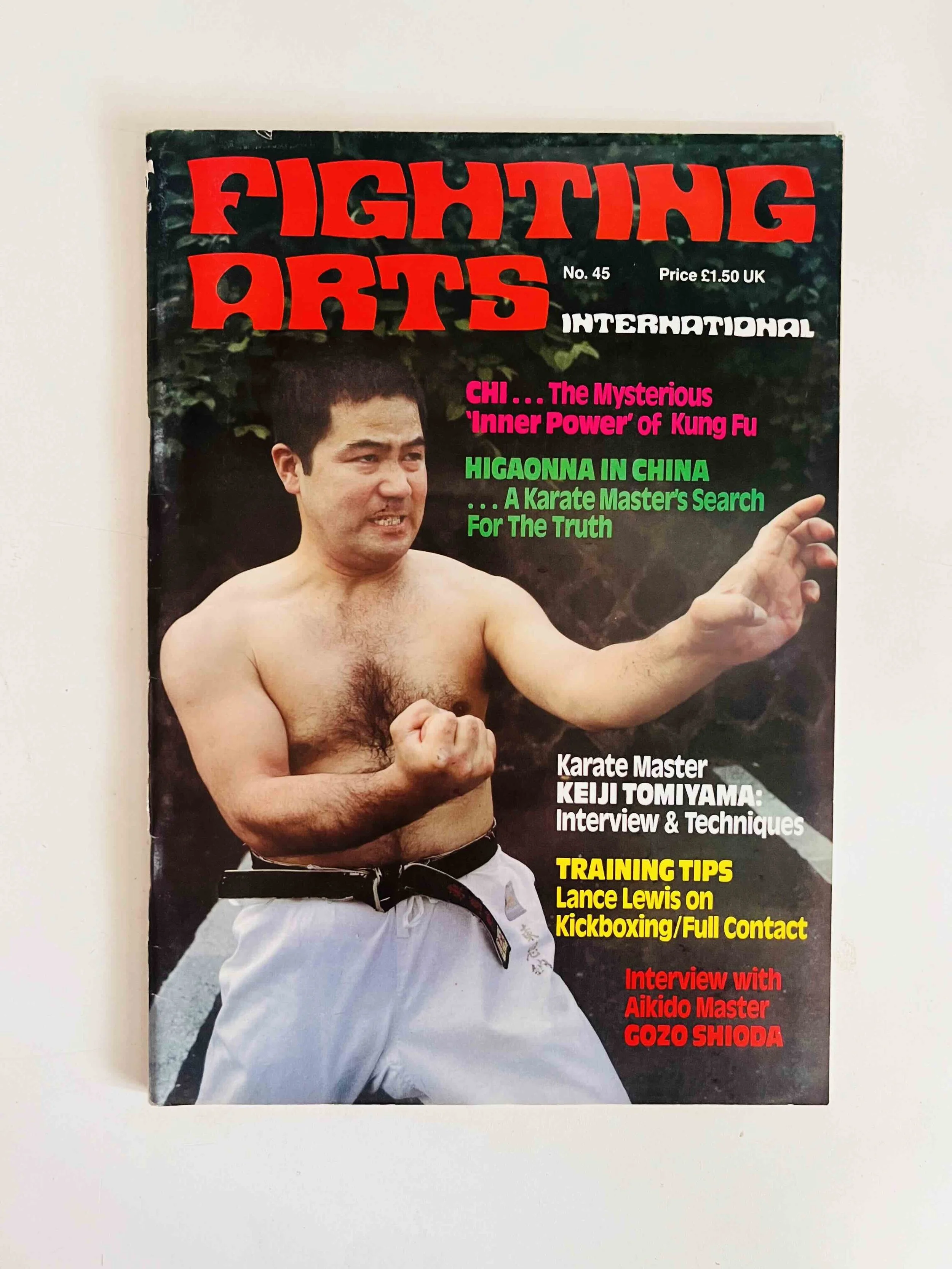 Fighting Arts International - No. 45